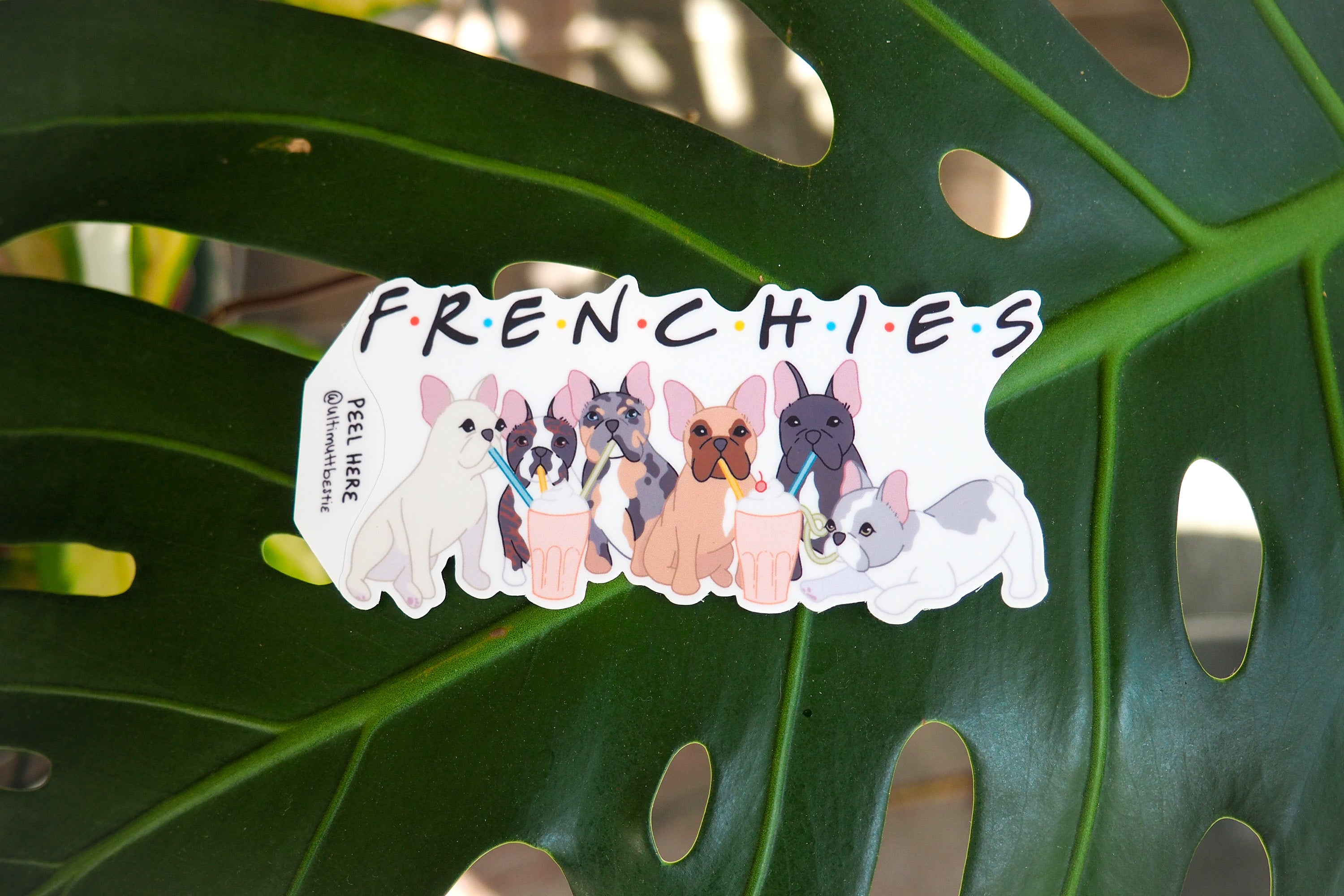 Frenchies Friends Sticker