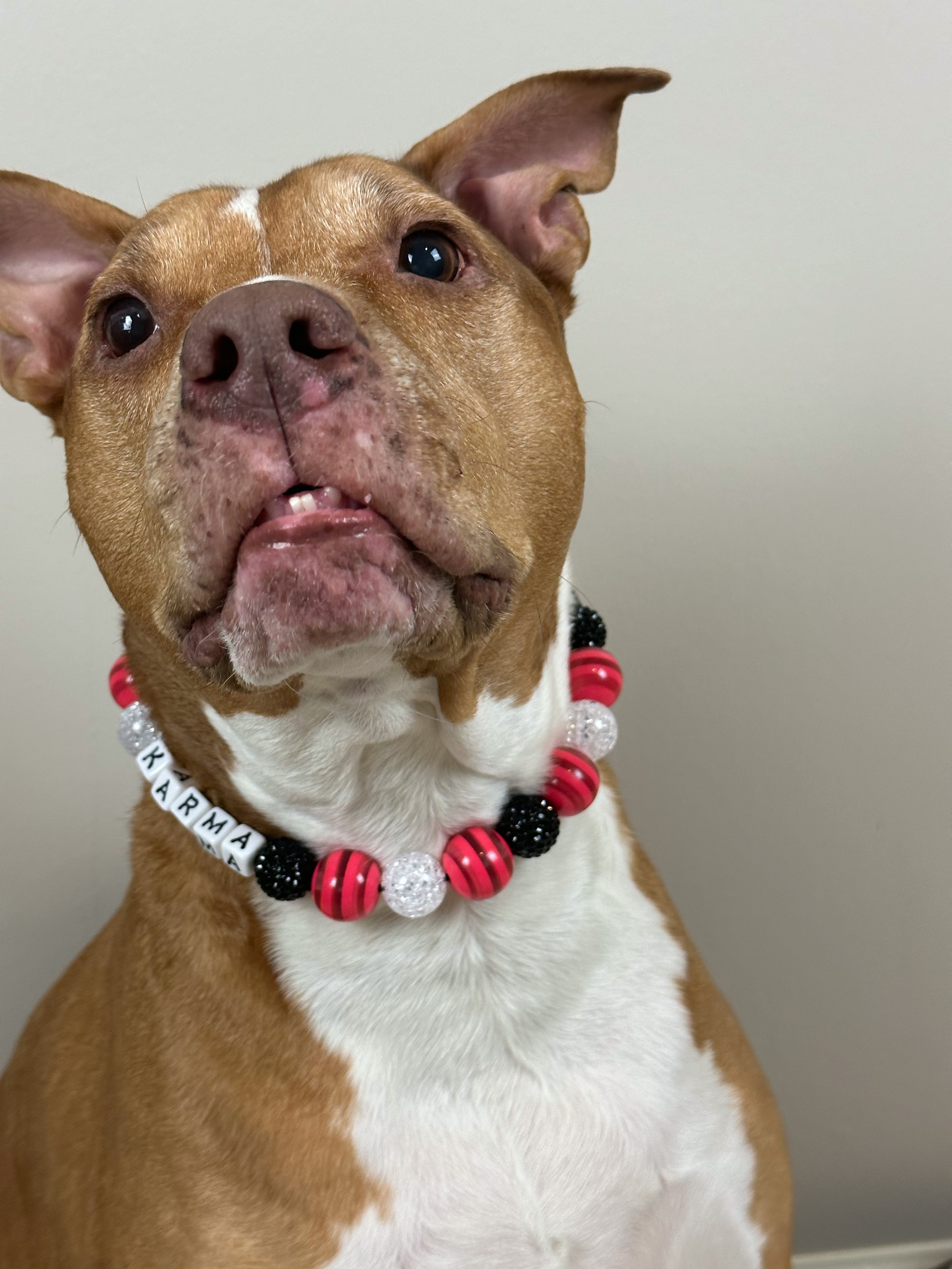 Punk at Heart Large Bead Dog Collar