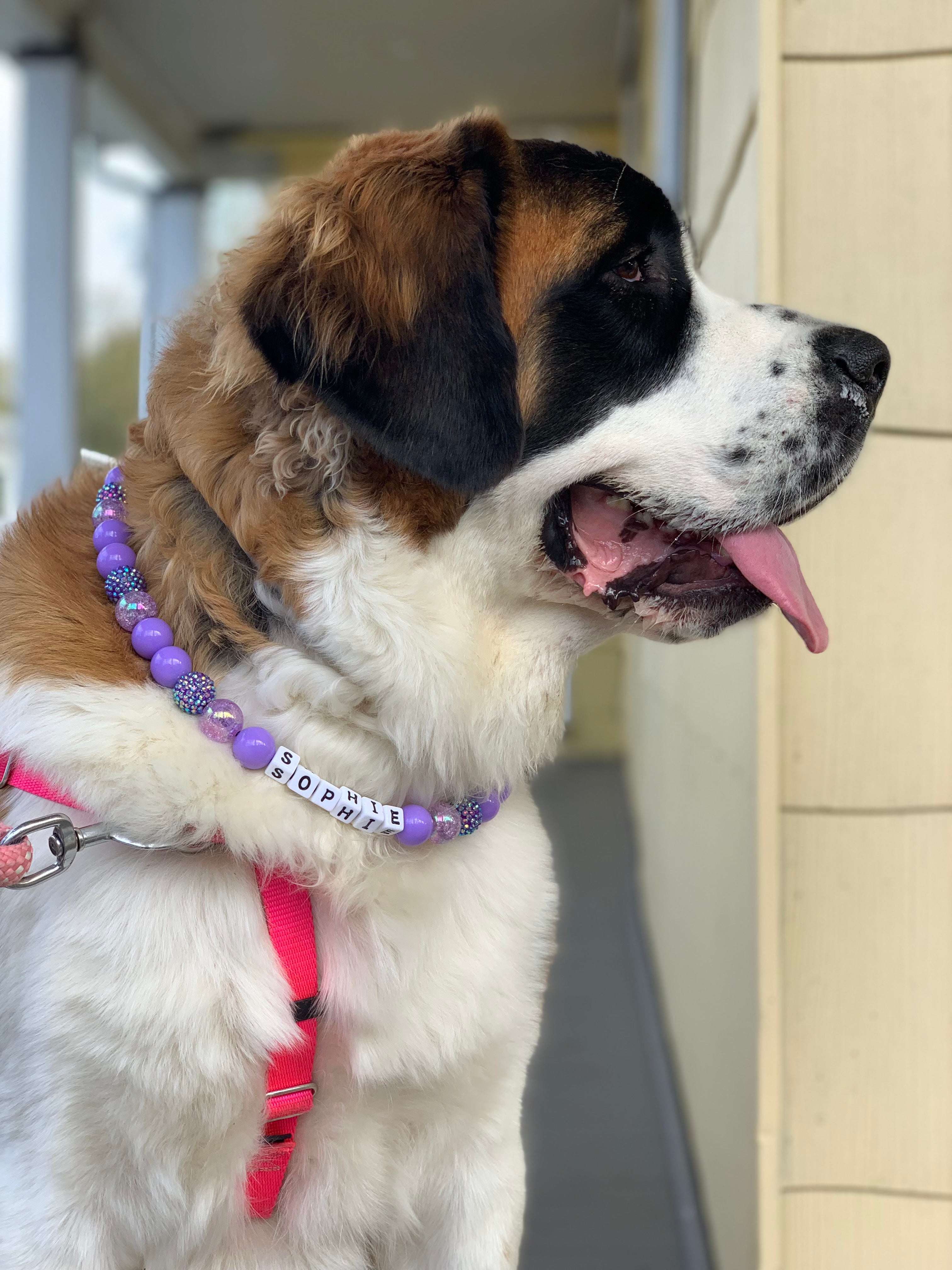 Purple Passion Large Bead Dog Collar