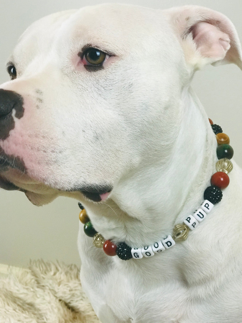 Vintage Dog Wood Large Bead Dog Collar