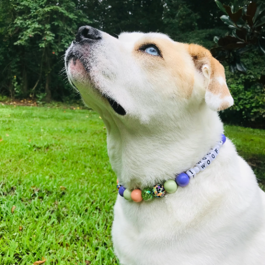 Peach Lilac Julep Large Bead Dog Collar