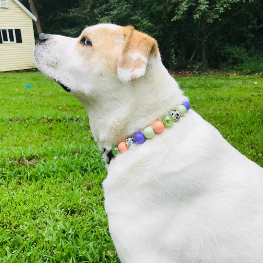 Peach Lilac Julep Large Bead Dog Collar