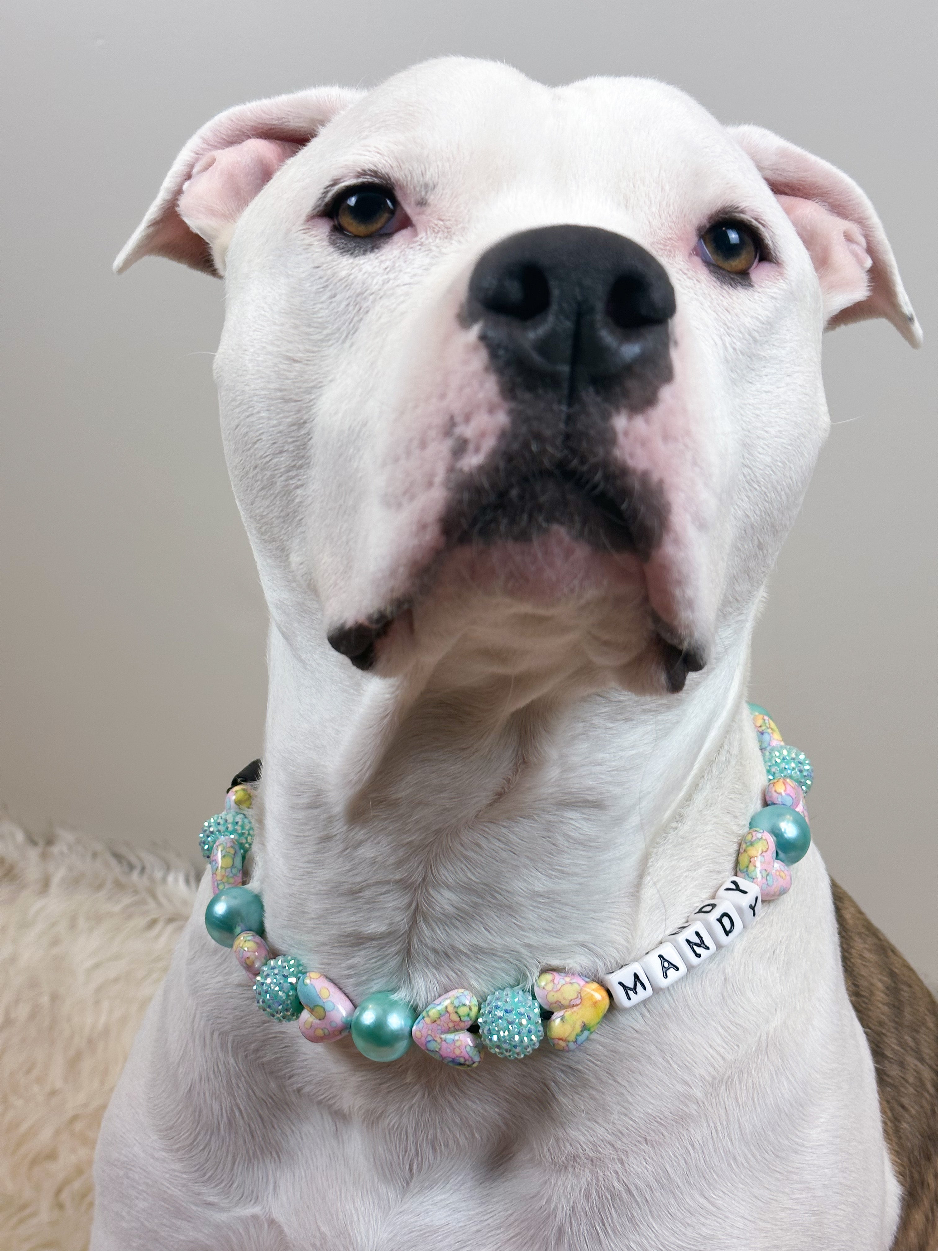 Sea of Love Large Bead Dog Collar