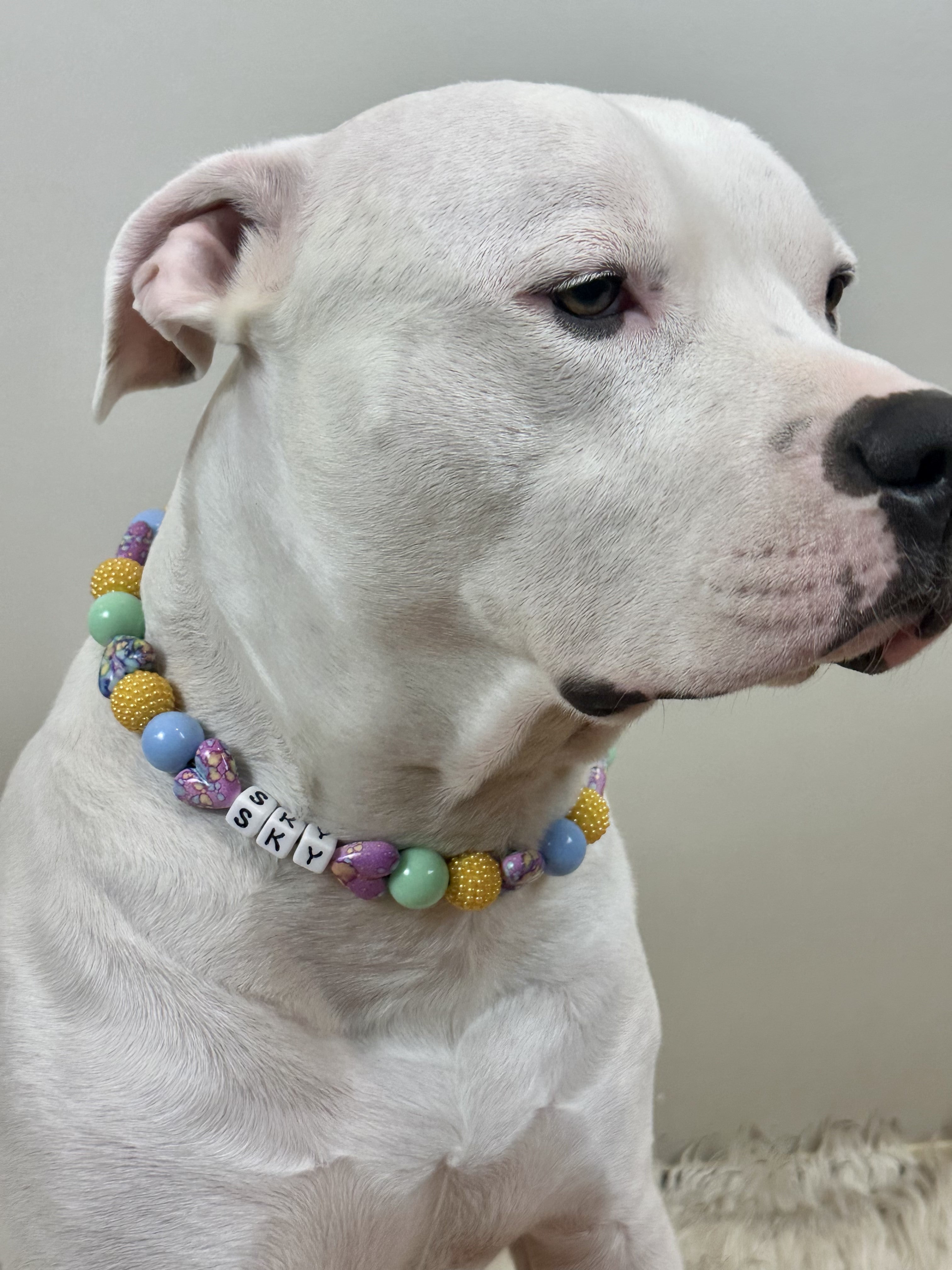 Tie-Dye Love Large Bead Dog Collar