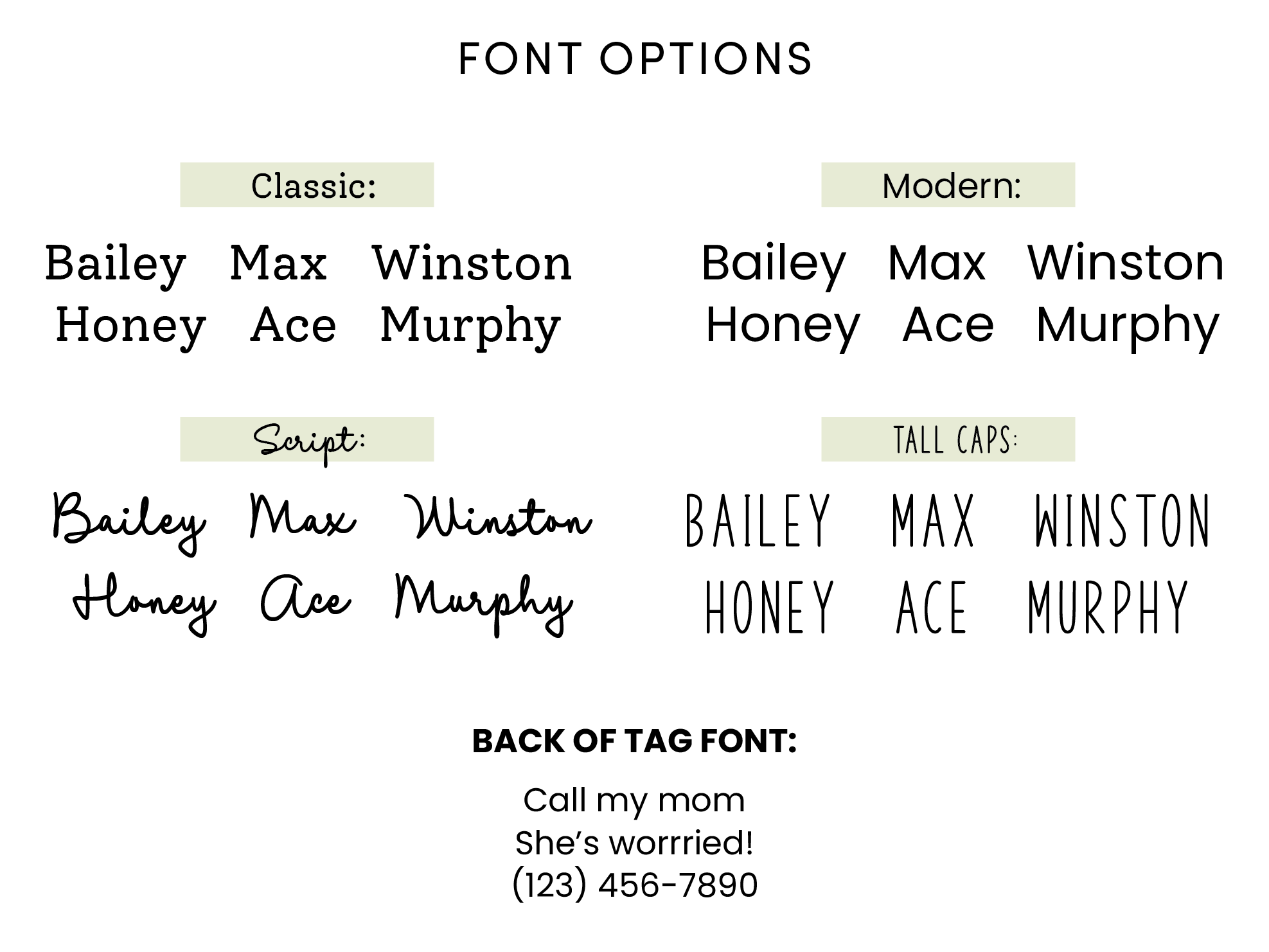 Silver Stainless Steel ID Tag