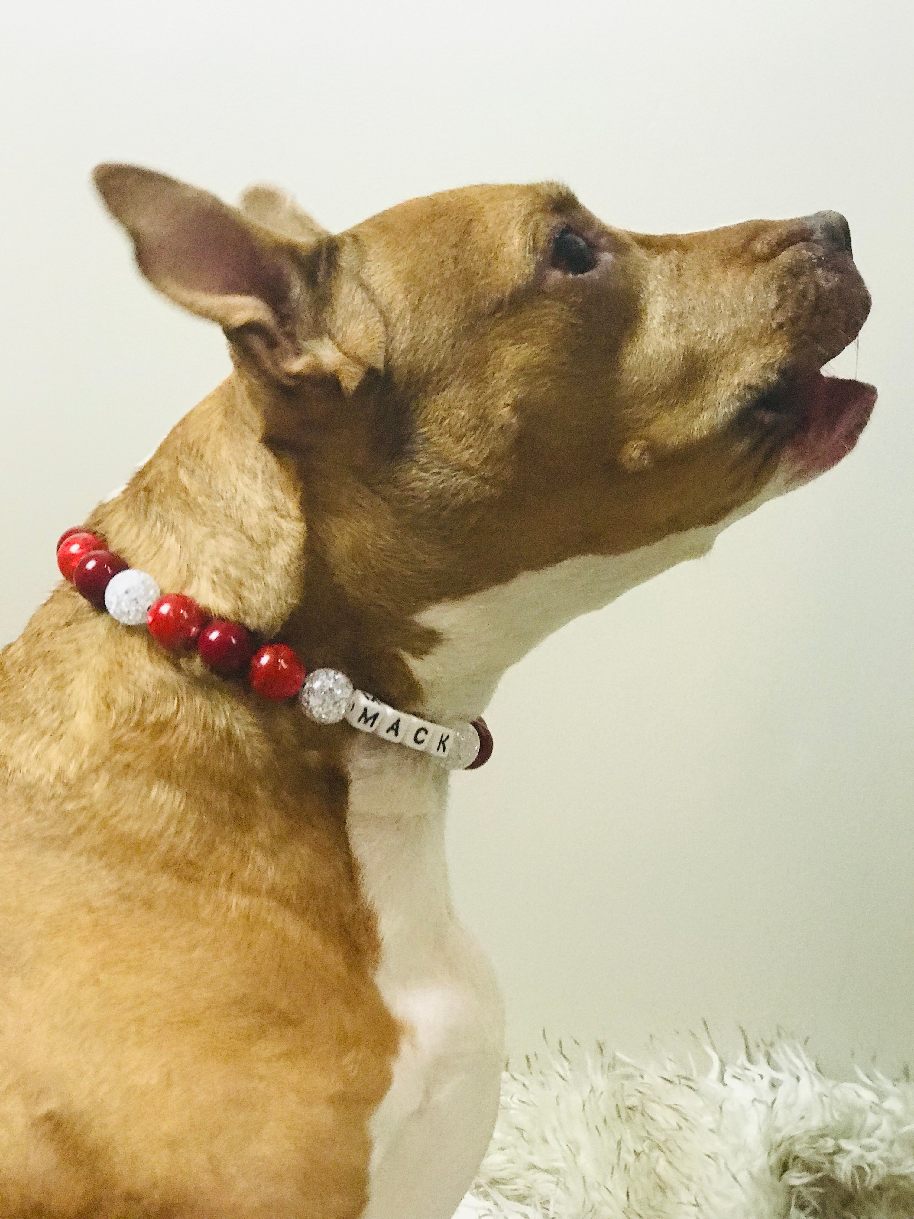 Red Candy Apple Large Bead Dog Collar