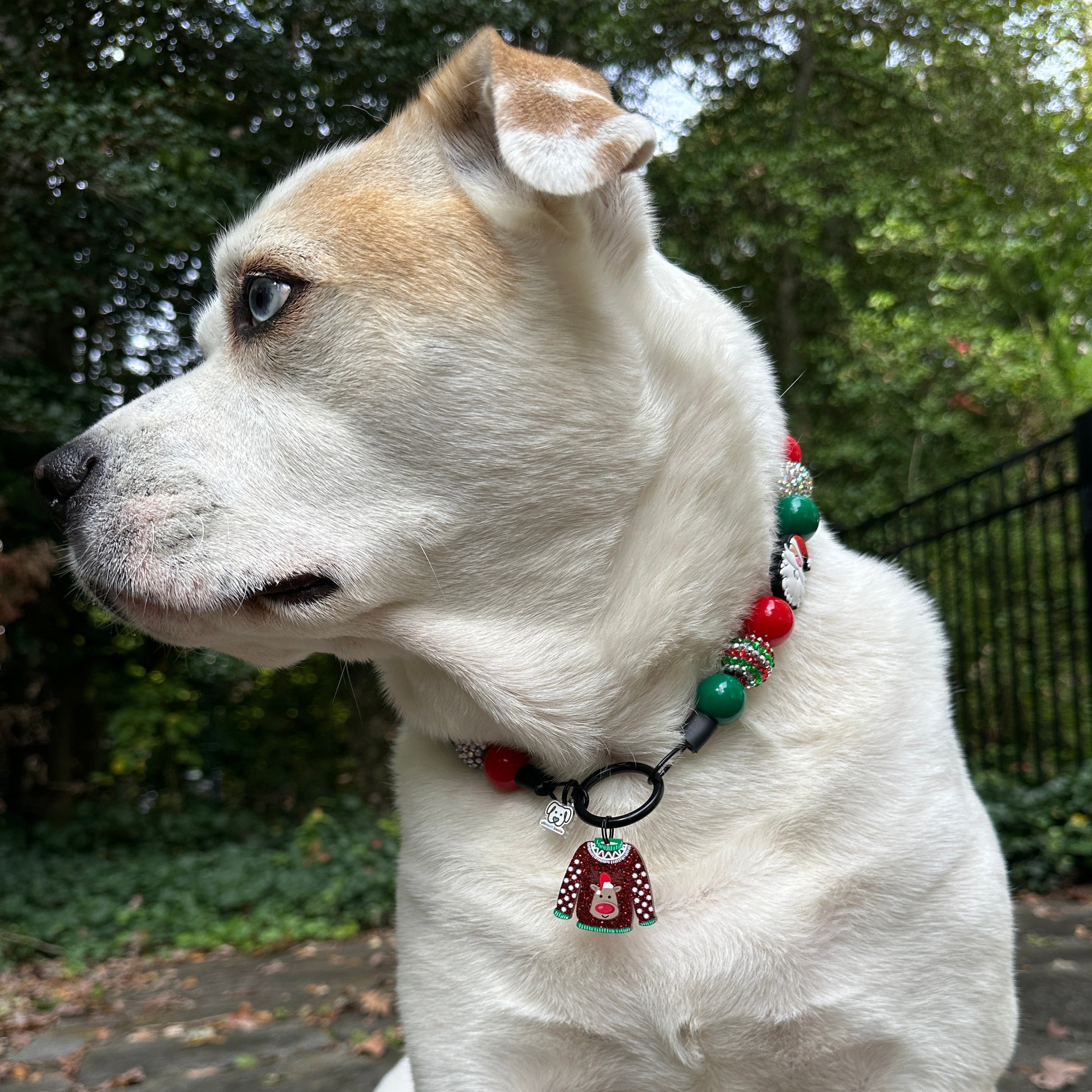 Ugly Sweater Dog Collar Charm – Festive Christmas Accessory for Pets | Ultimutt Bestie