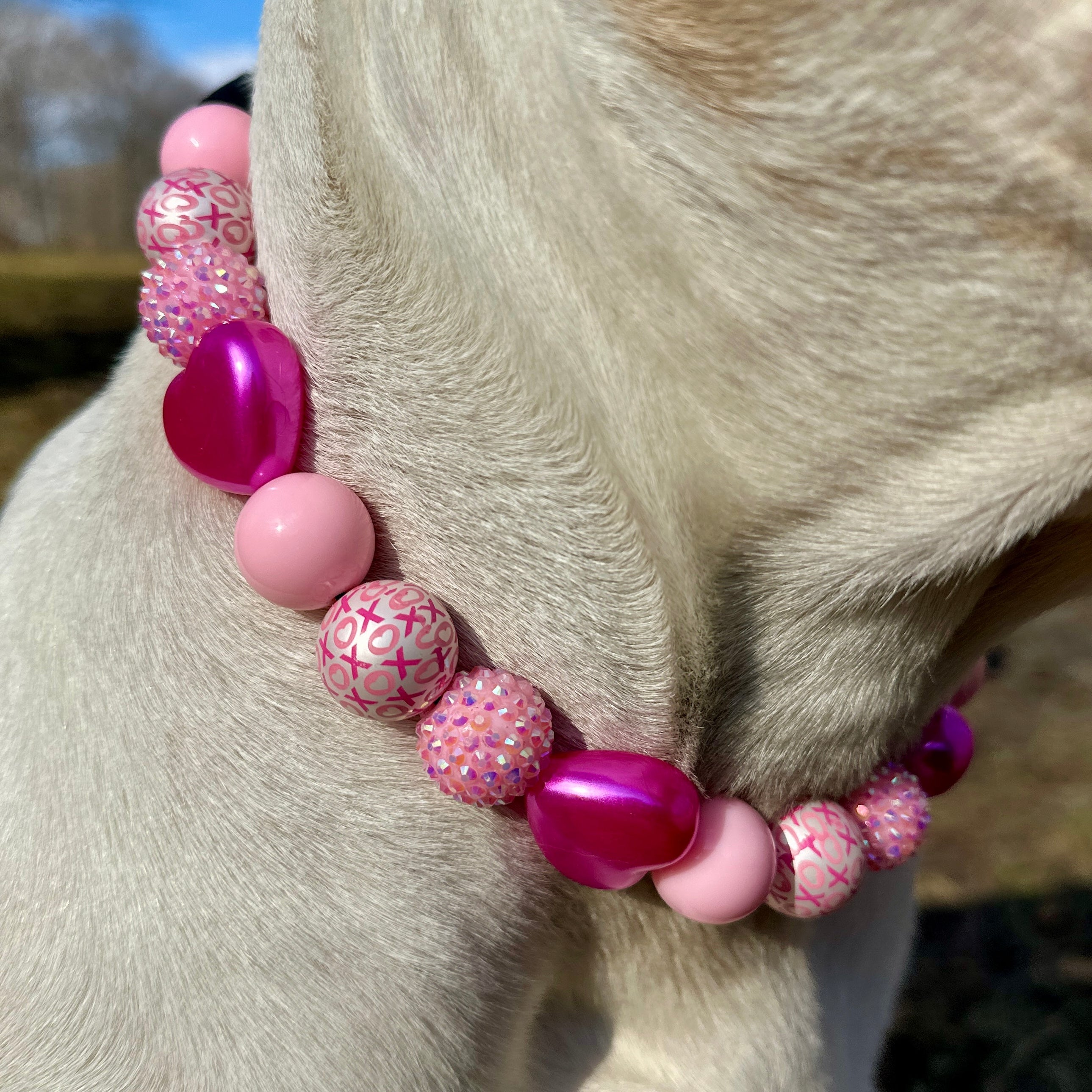 XO Pup Bead Dog Collar