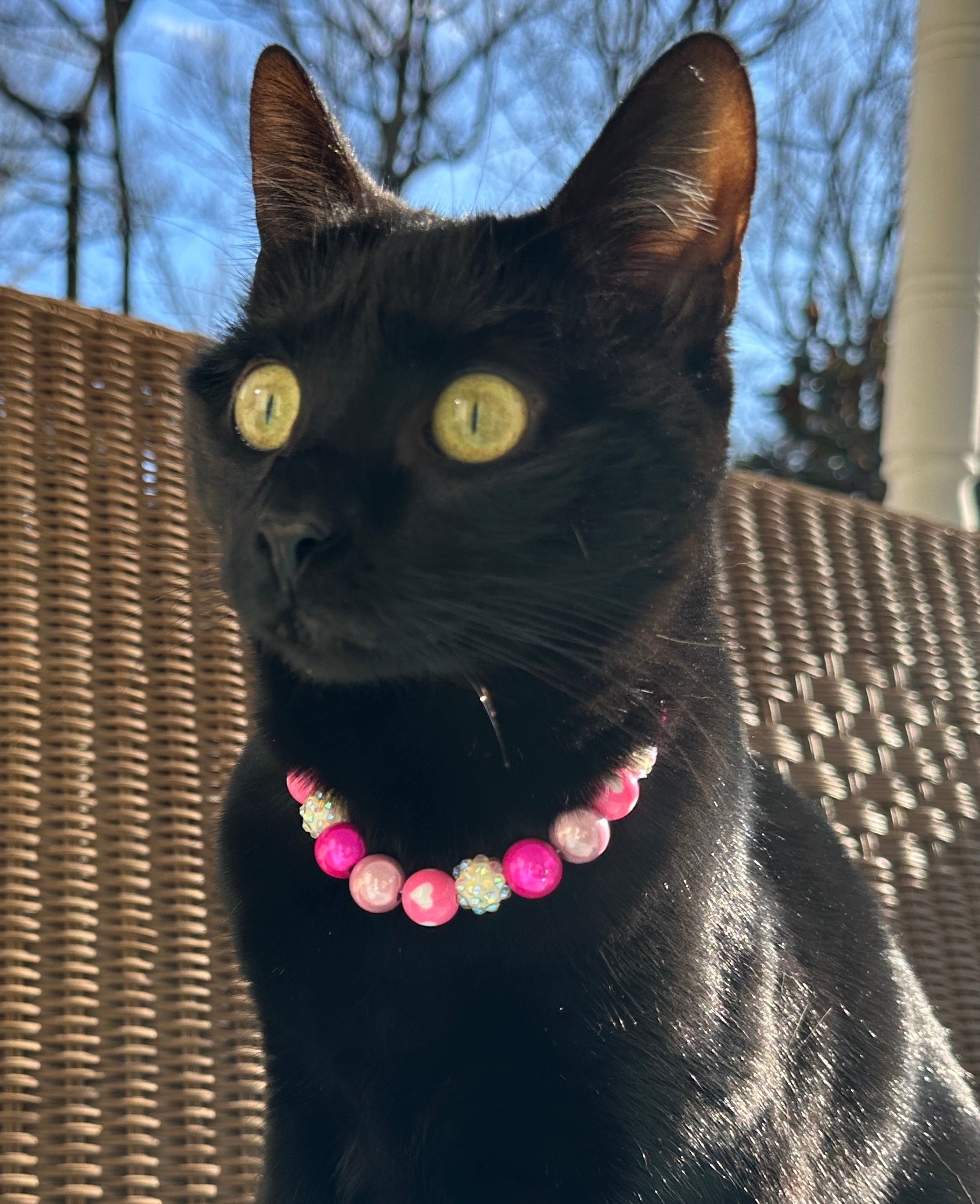 Mini Velvet Heart Dog Bead Collar