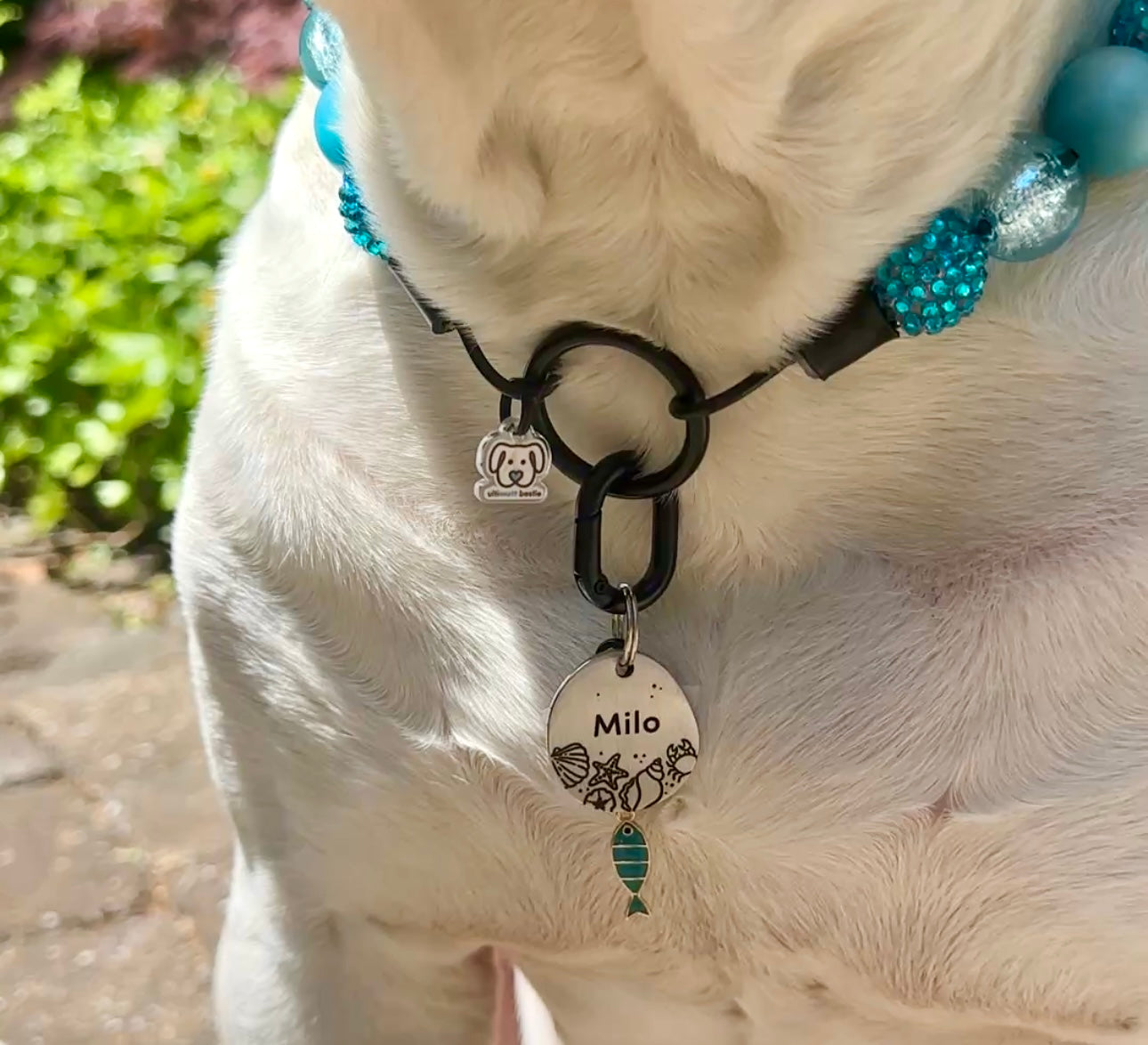 Fish Collar Charm