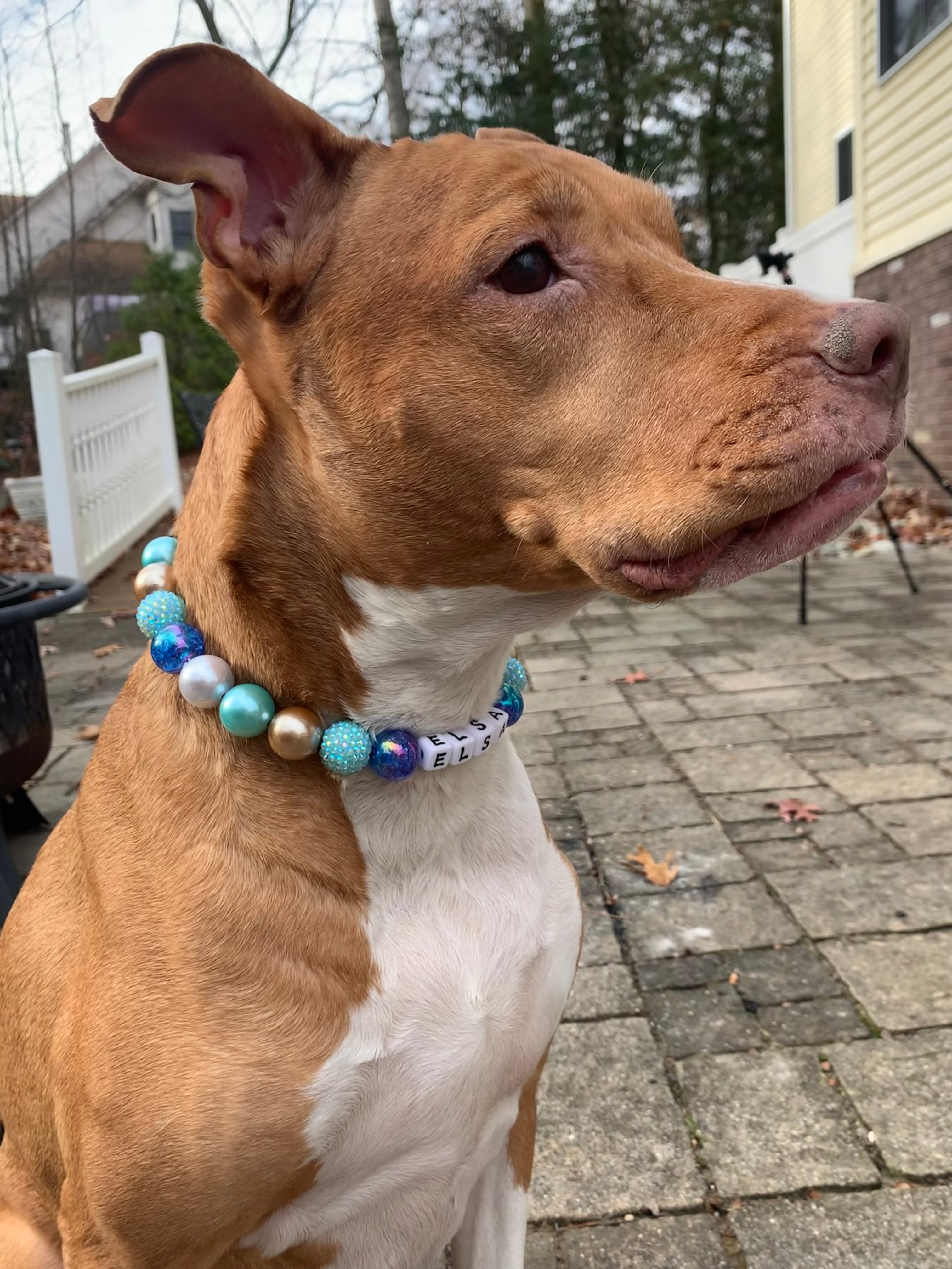 Winter Wonderland Large Bead Dog Collar
