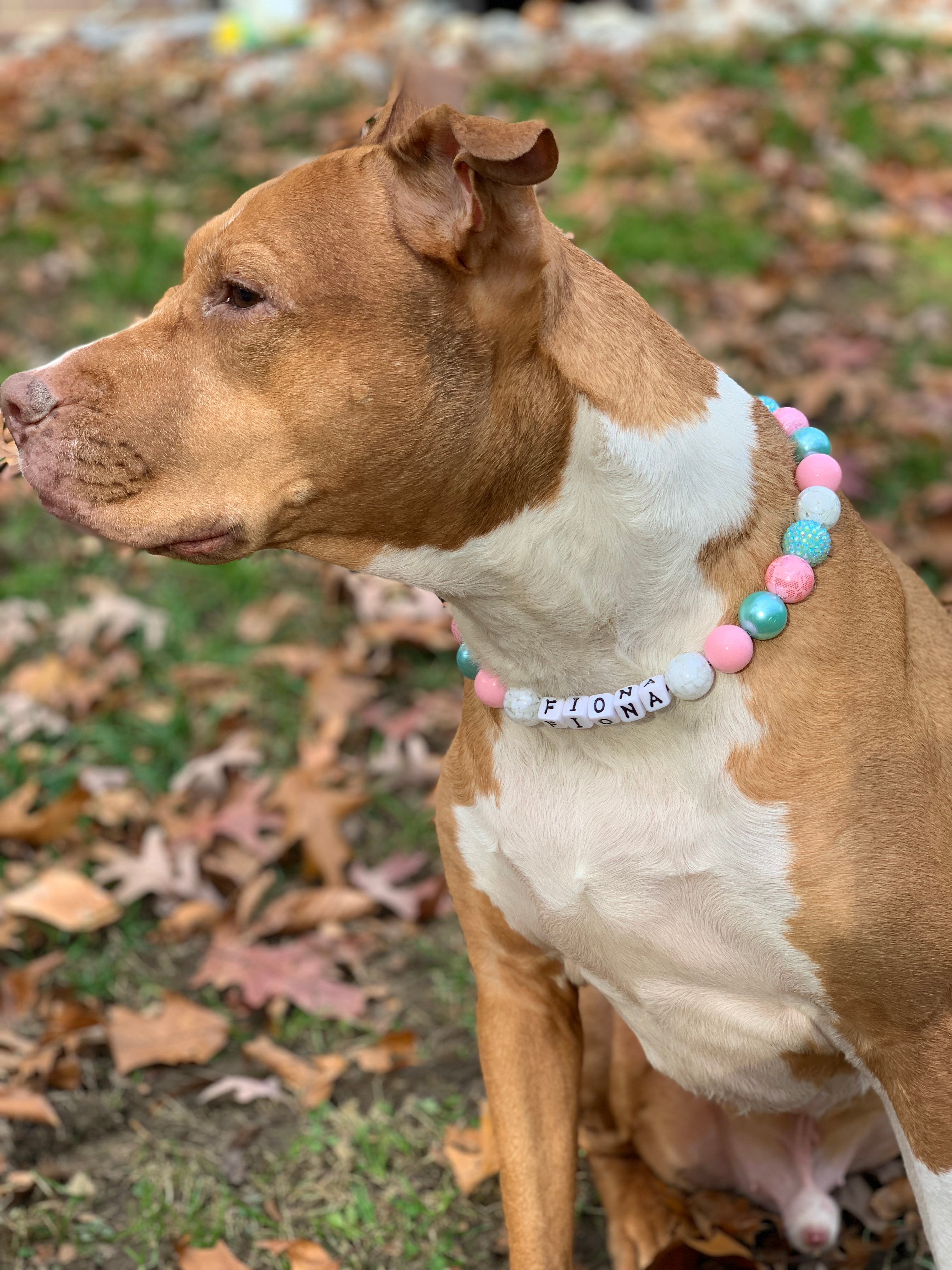Cotton Candy Bead Dog Collar