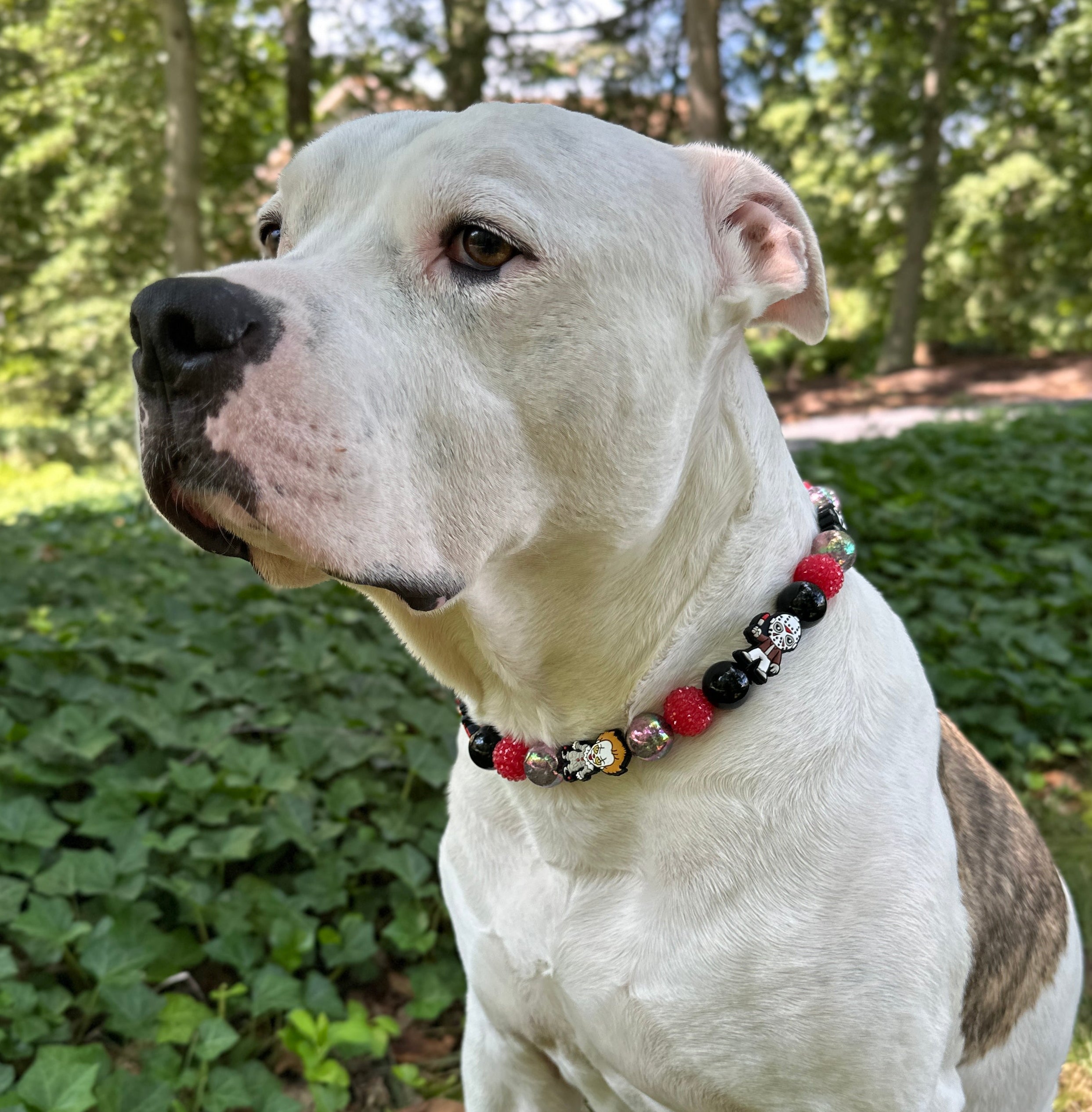 Cult Classics Bead Dog Collar