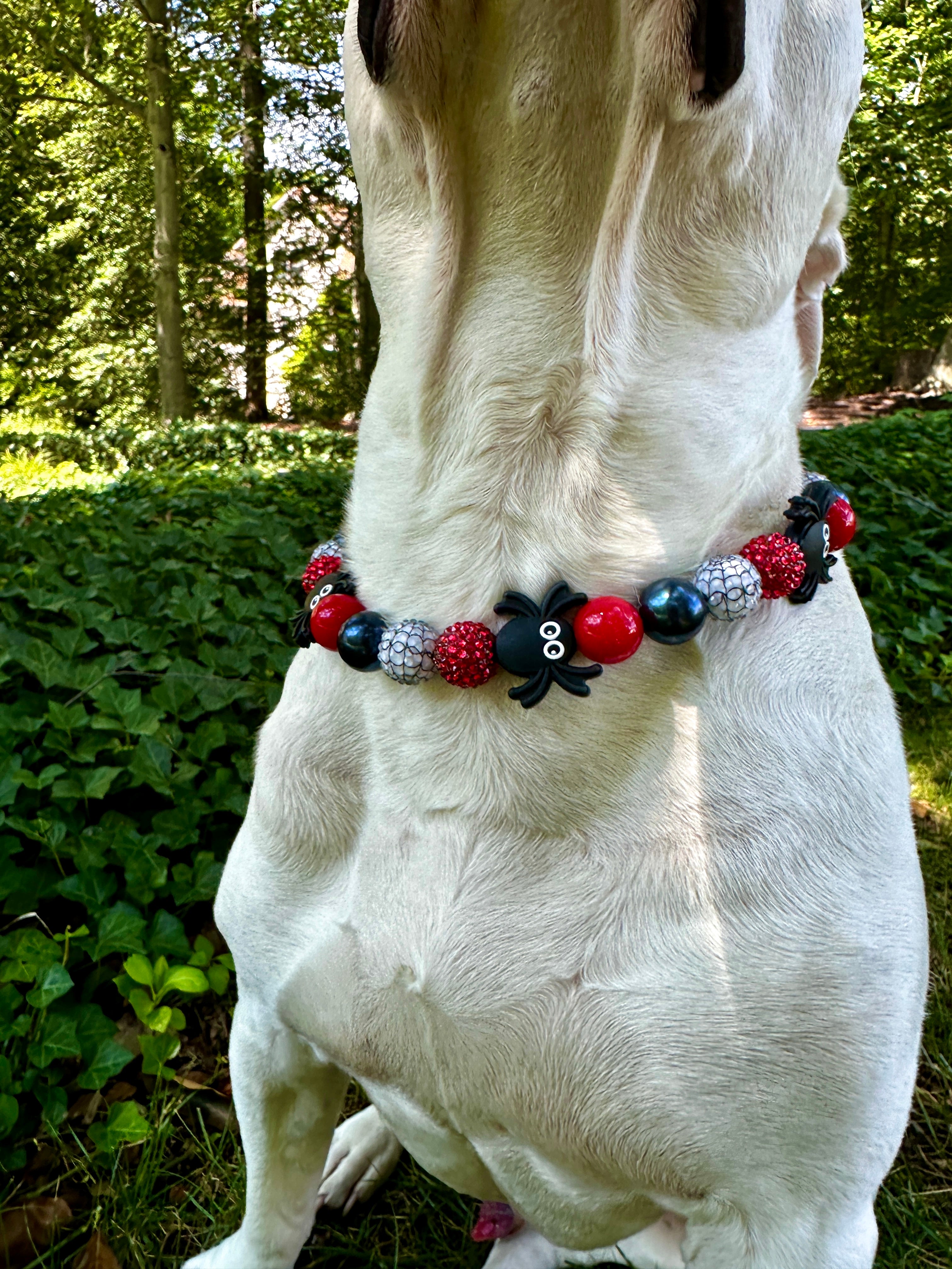 Web Slinger Bead Dog Collar