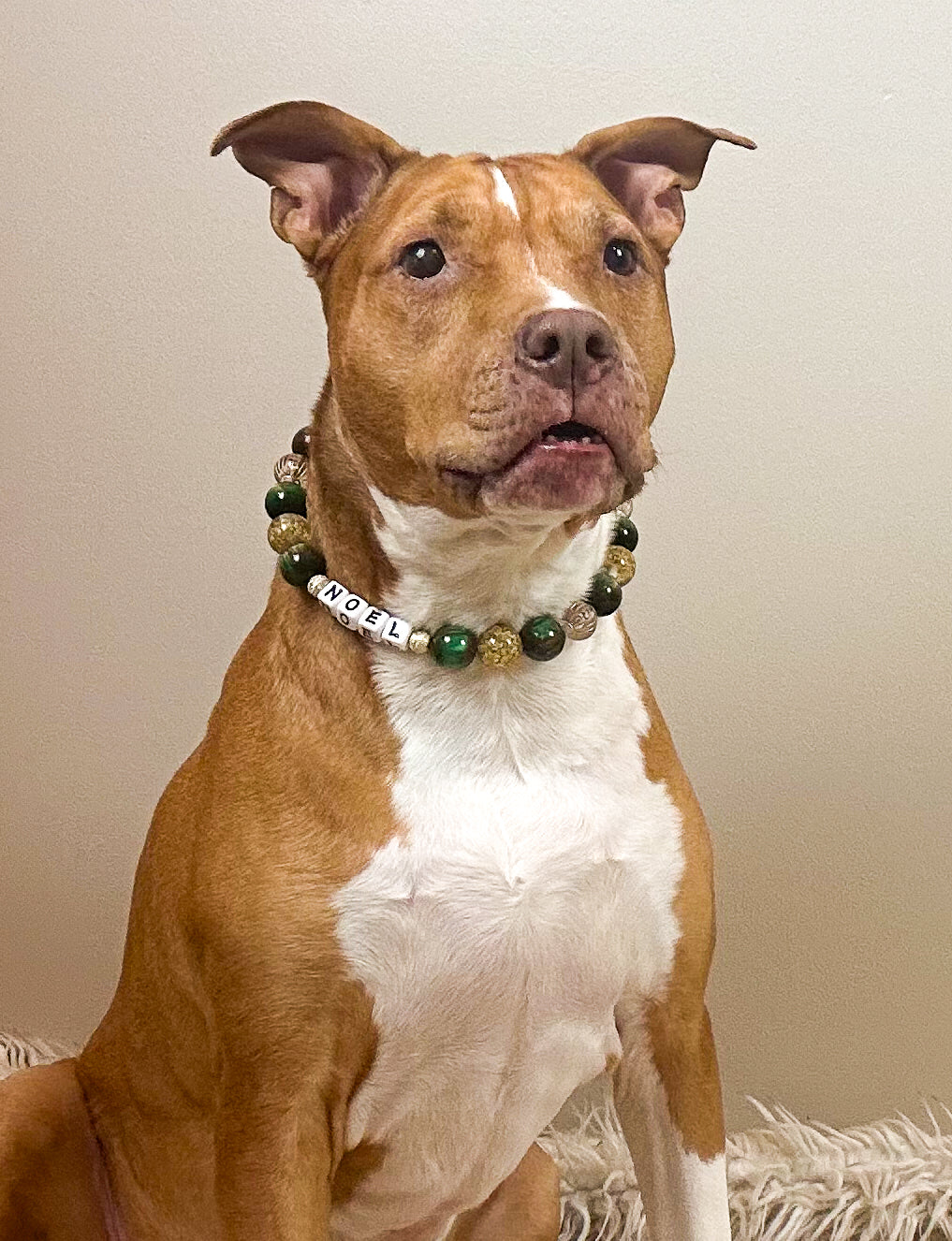 Evergreen Christmas Bead Dog Collar