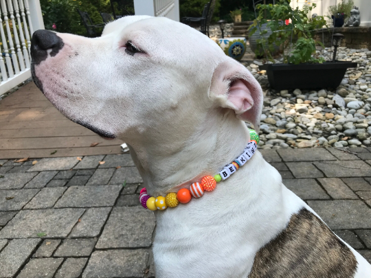Ombre Rainbow Large Bead Dog Collar
