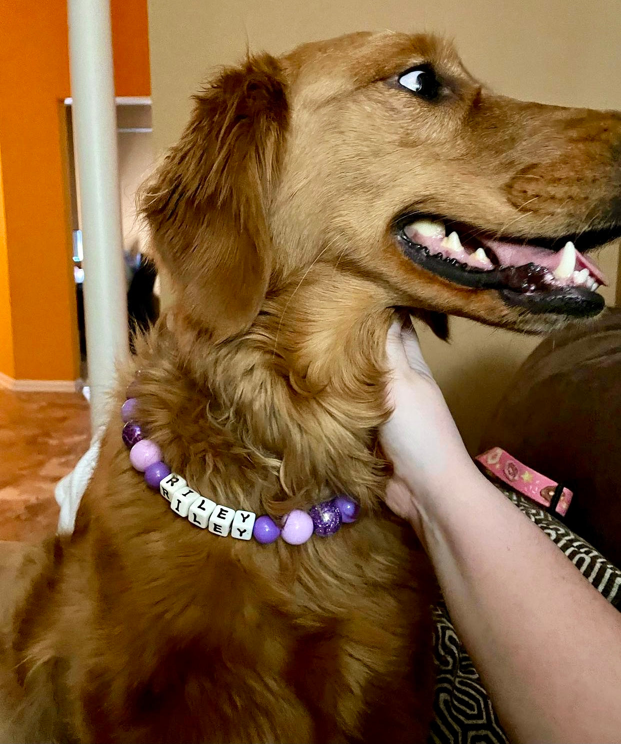 Purple Passion Large Bead Dog Collar
