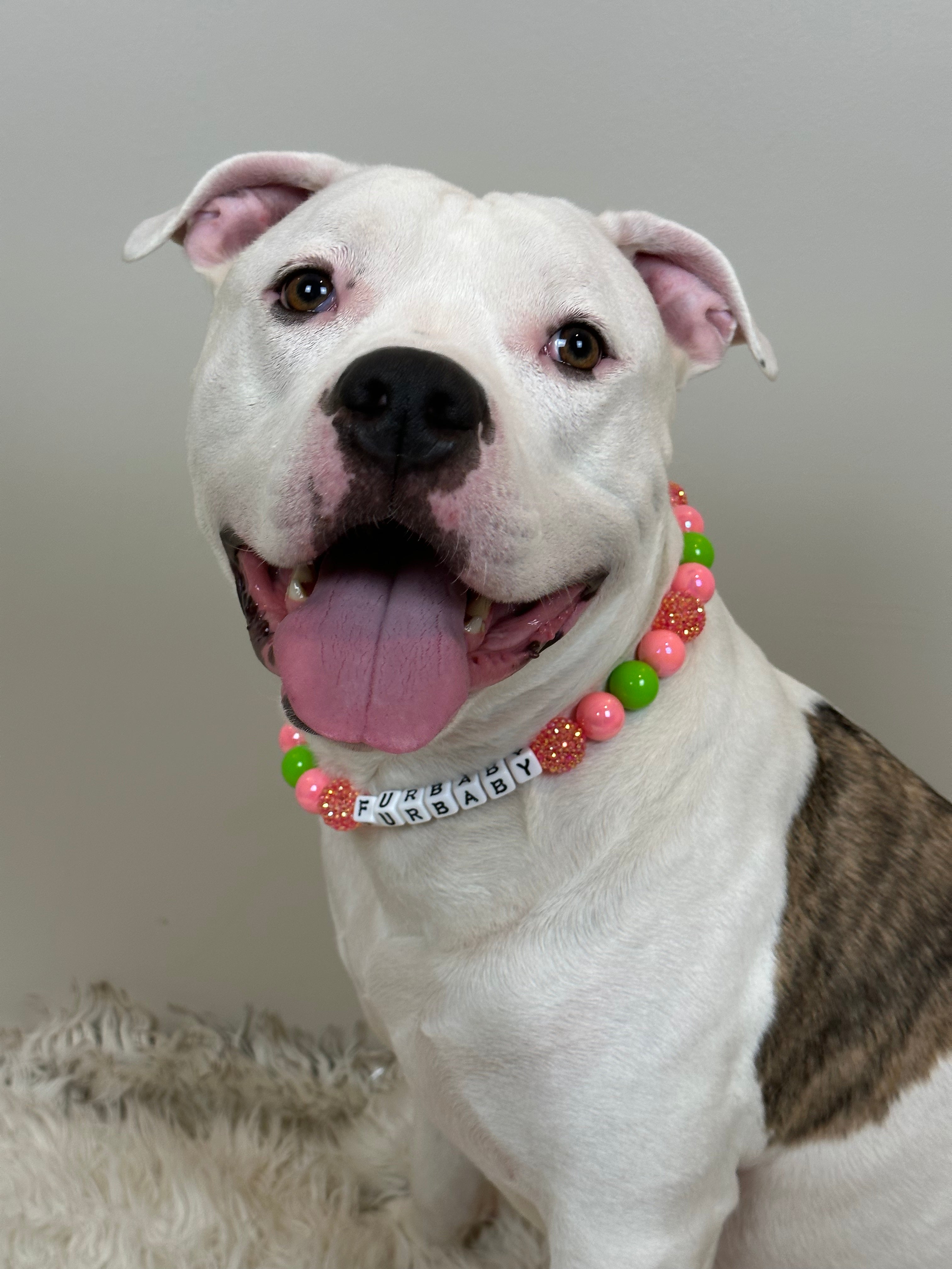 Watermelon Shimmer Bead Dog Collar