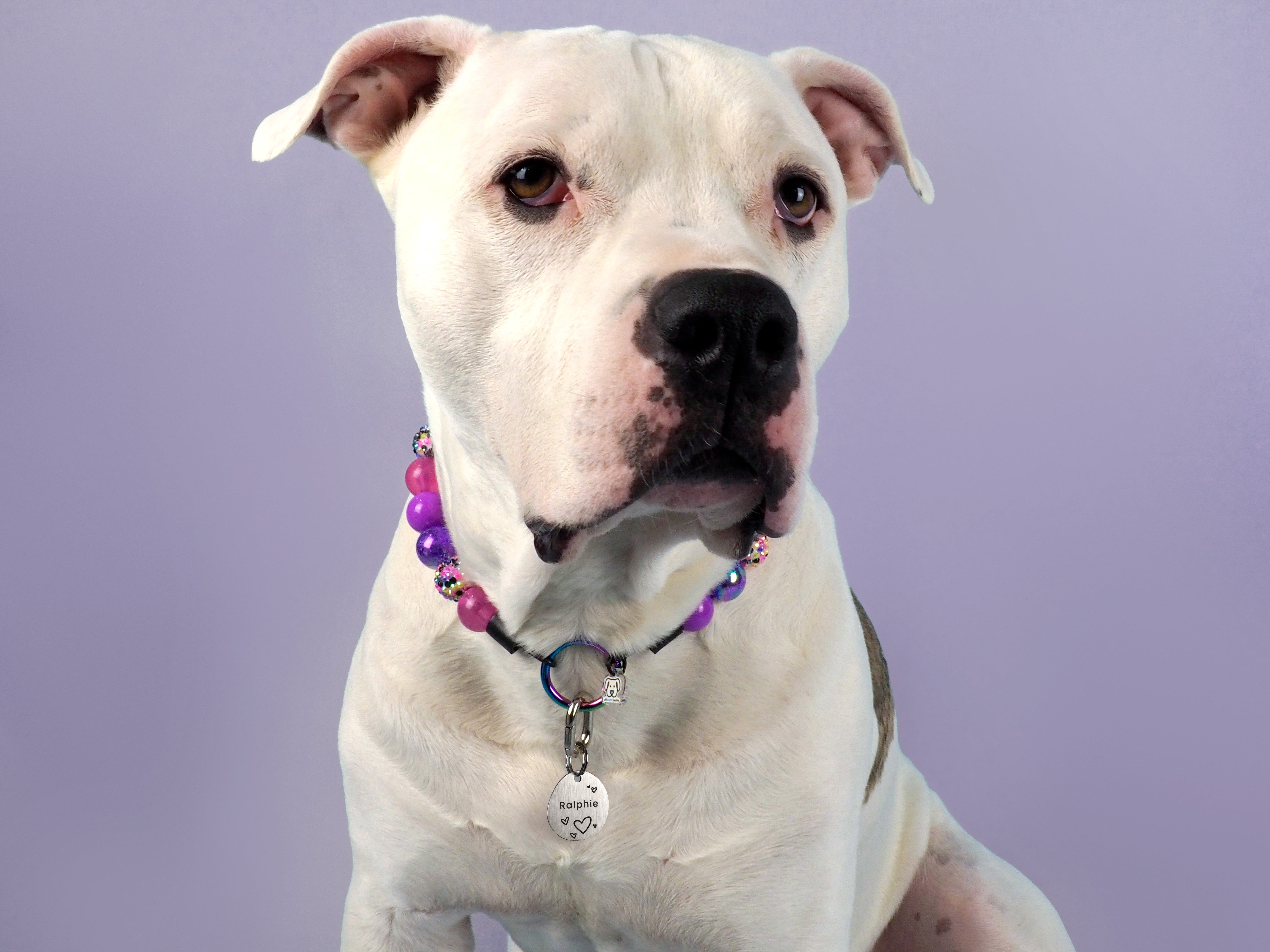 Silver Stainless Steel ID Tag