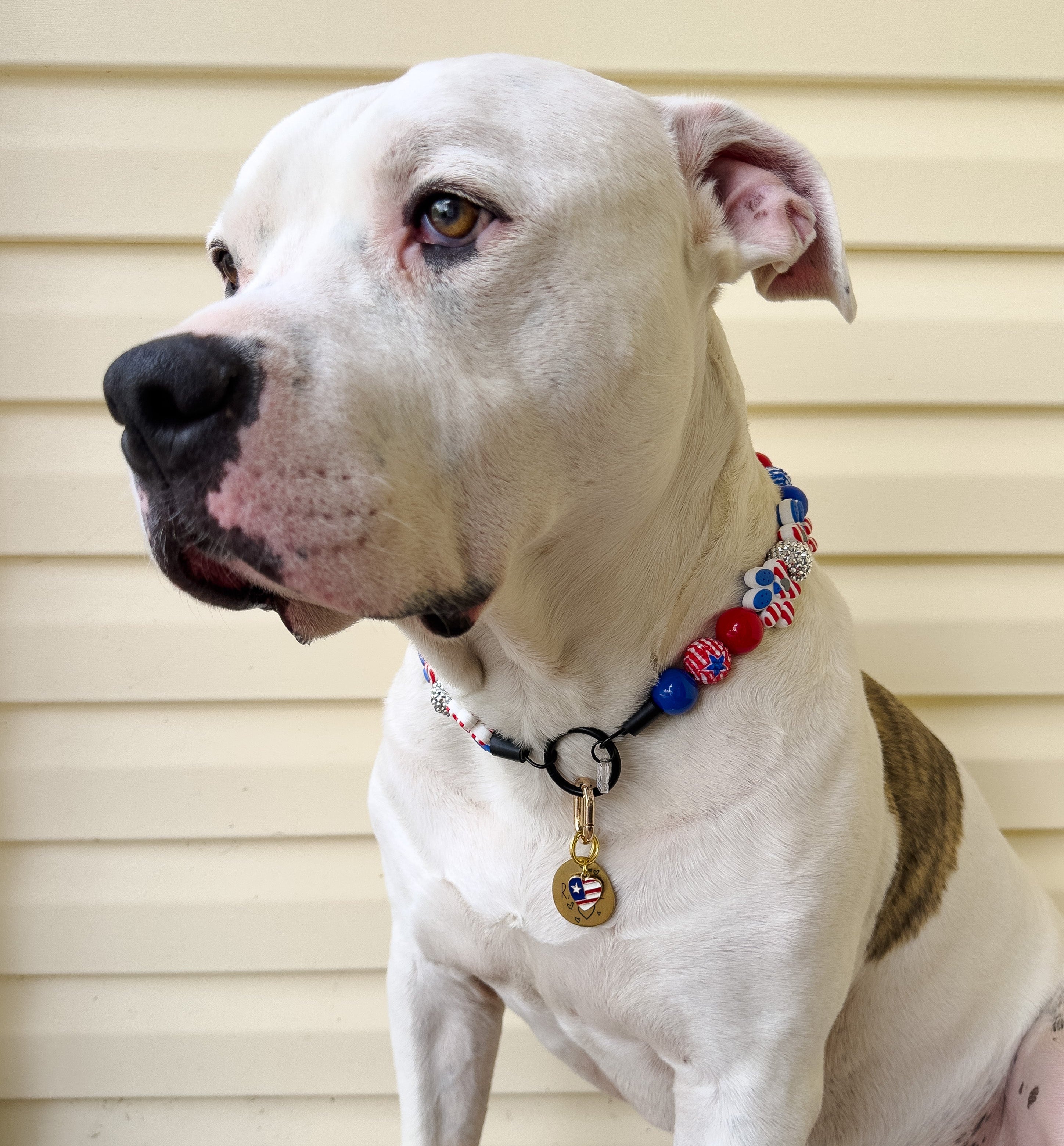 Pawty in the USA Bead Dog Collar