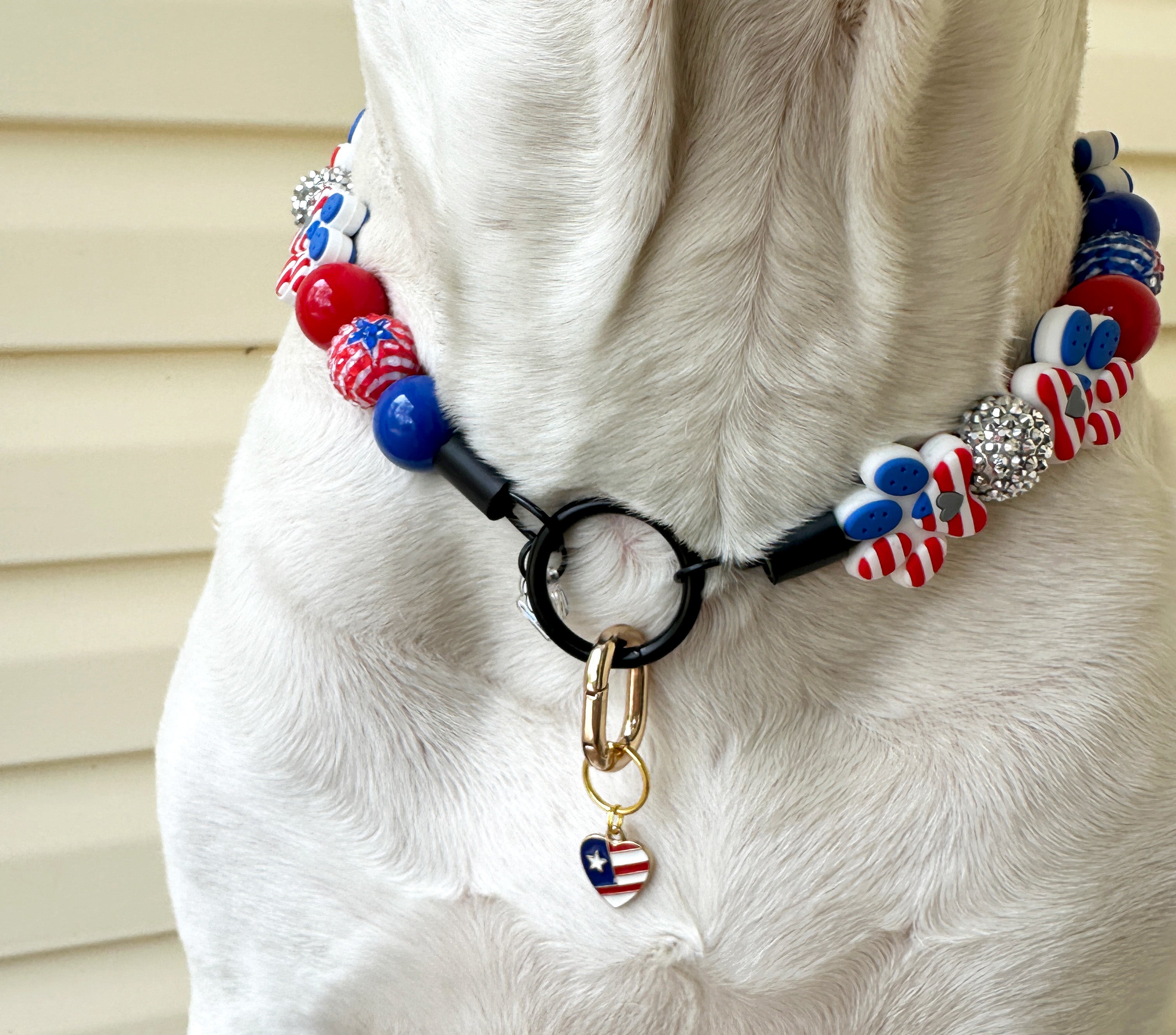 Pawty in the USA Bead Dog Collar