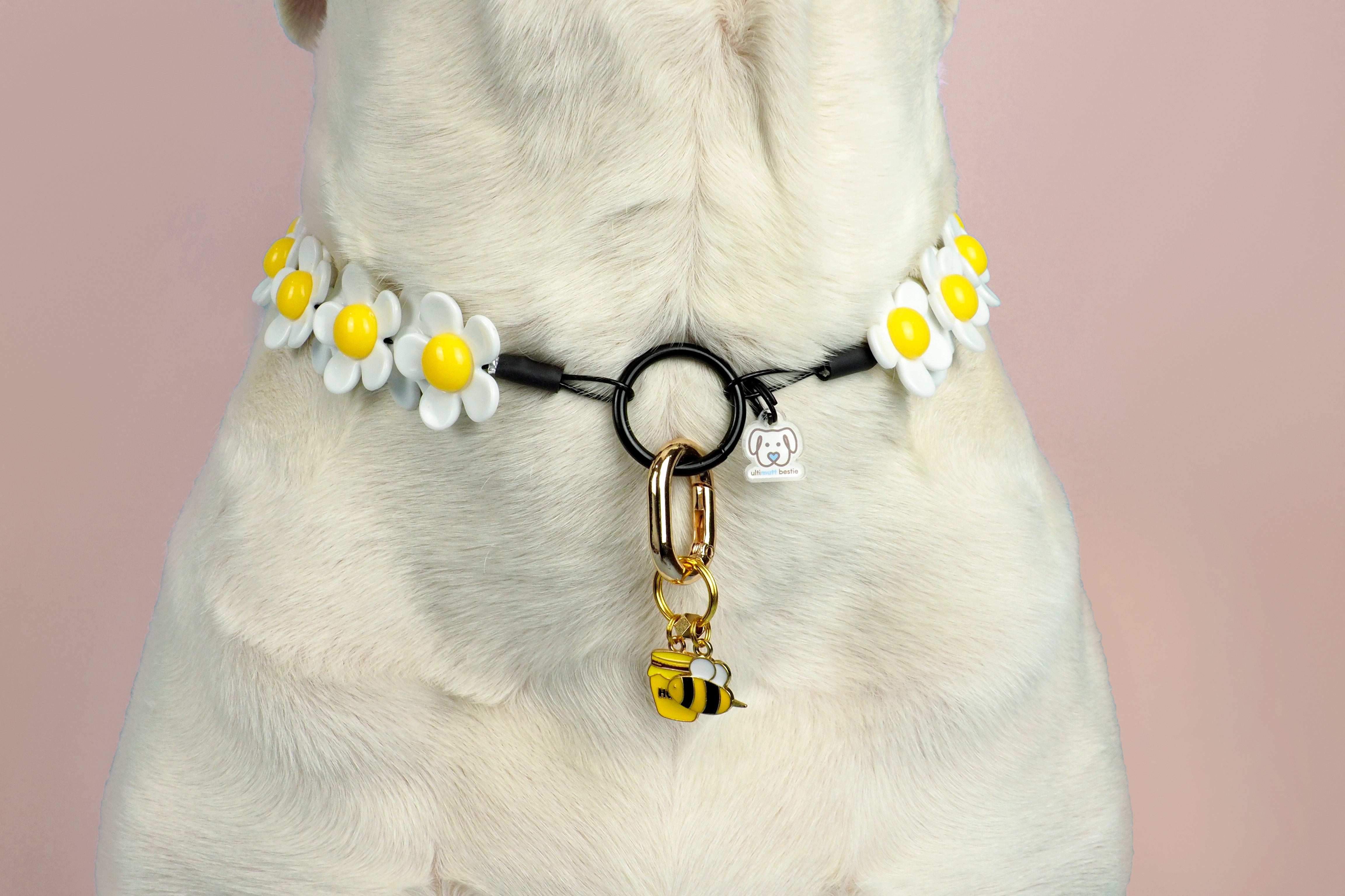 Honey Pot & Bee Collar Charm