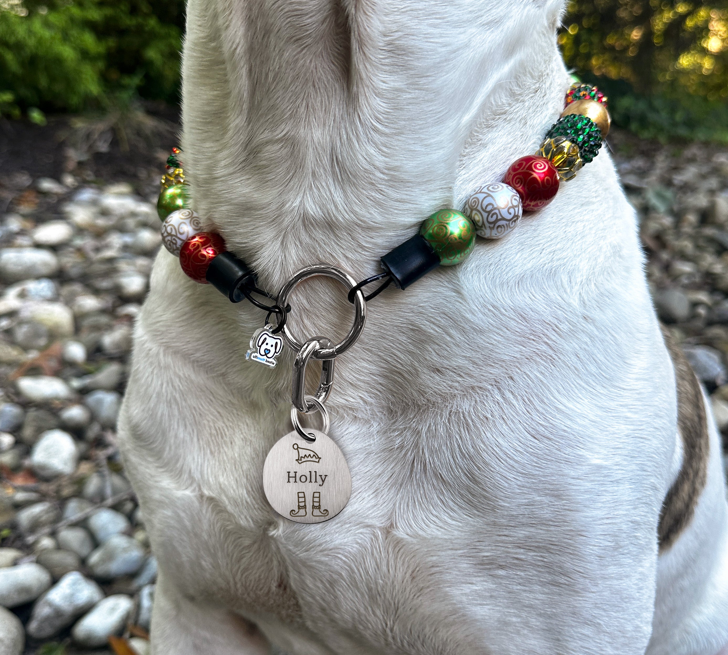 Winter Silver Brushed Stainless Steel ID Tag