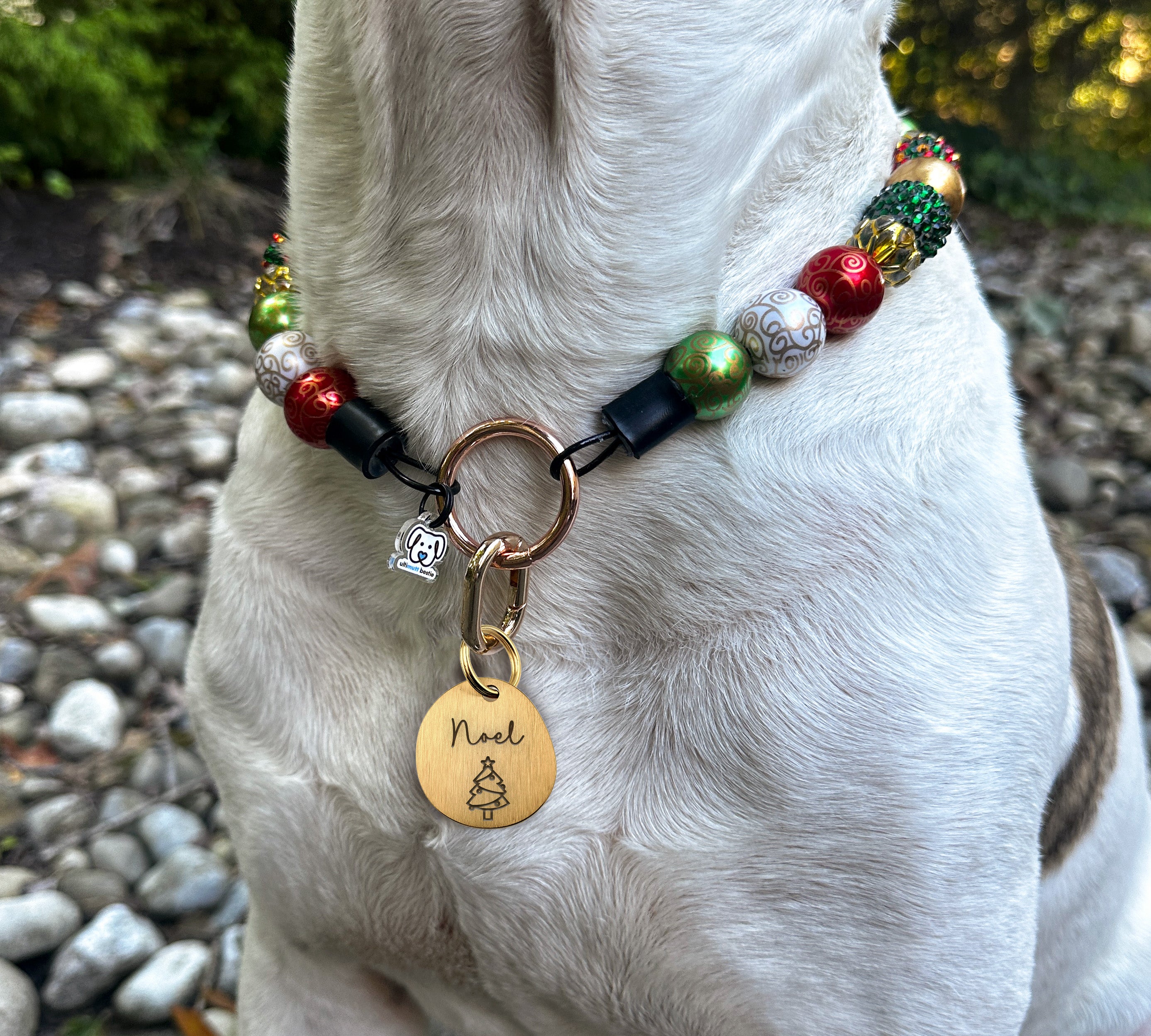 Winter Gold Brushed Stainless Steel ID Tag