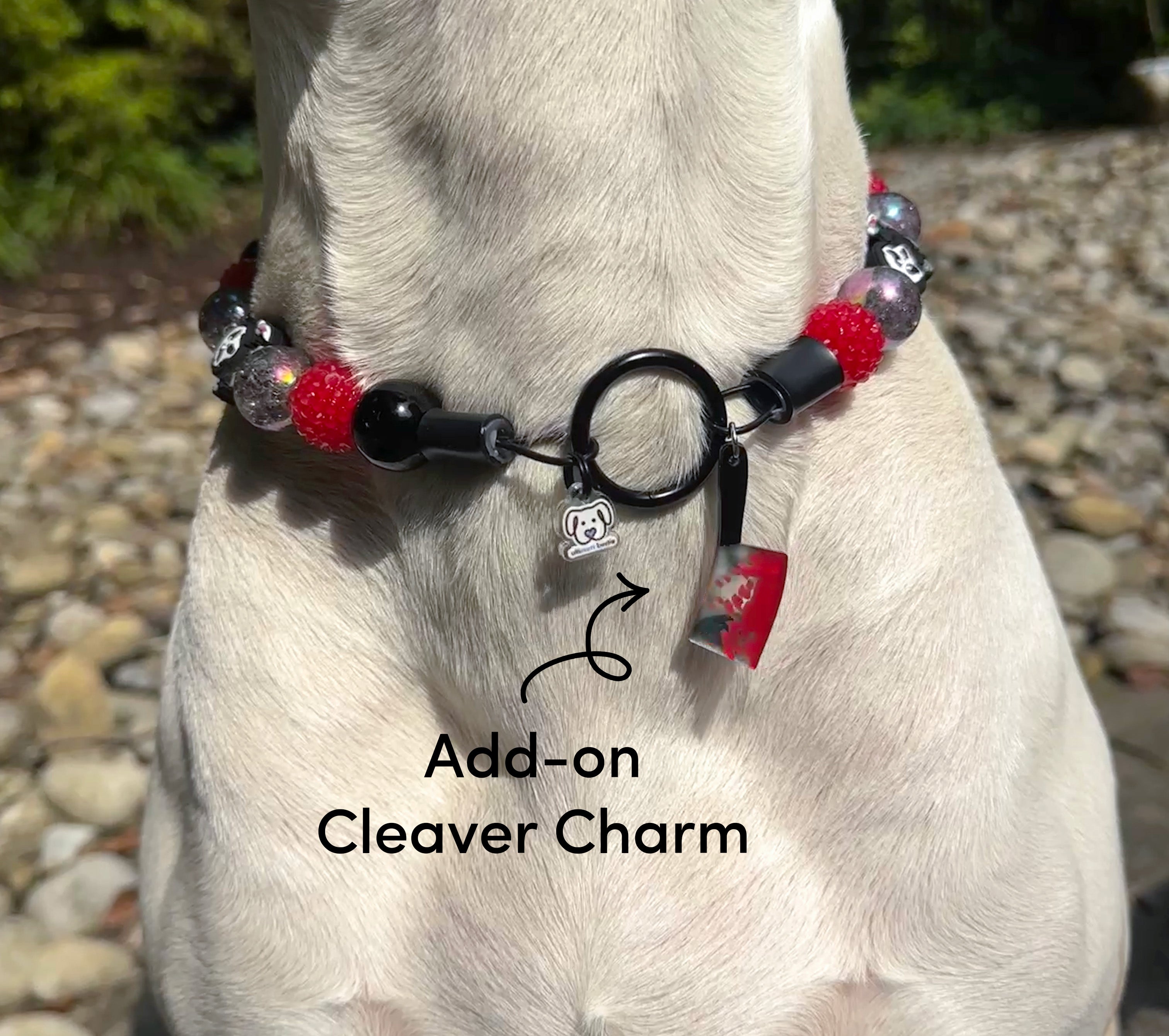 Cult Classics Bead Dog Collar