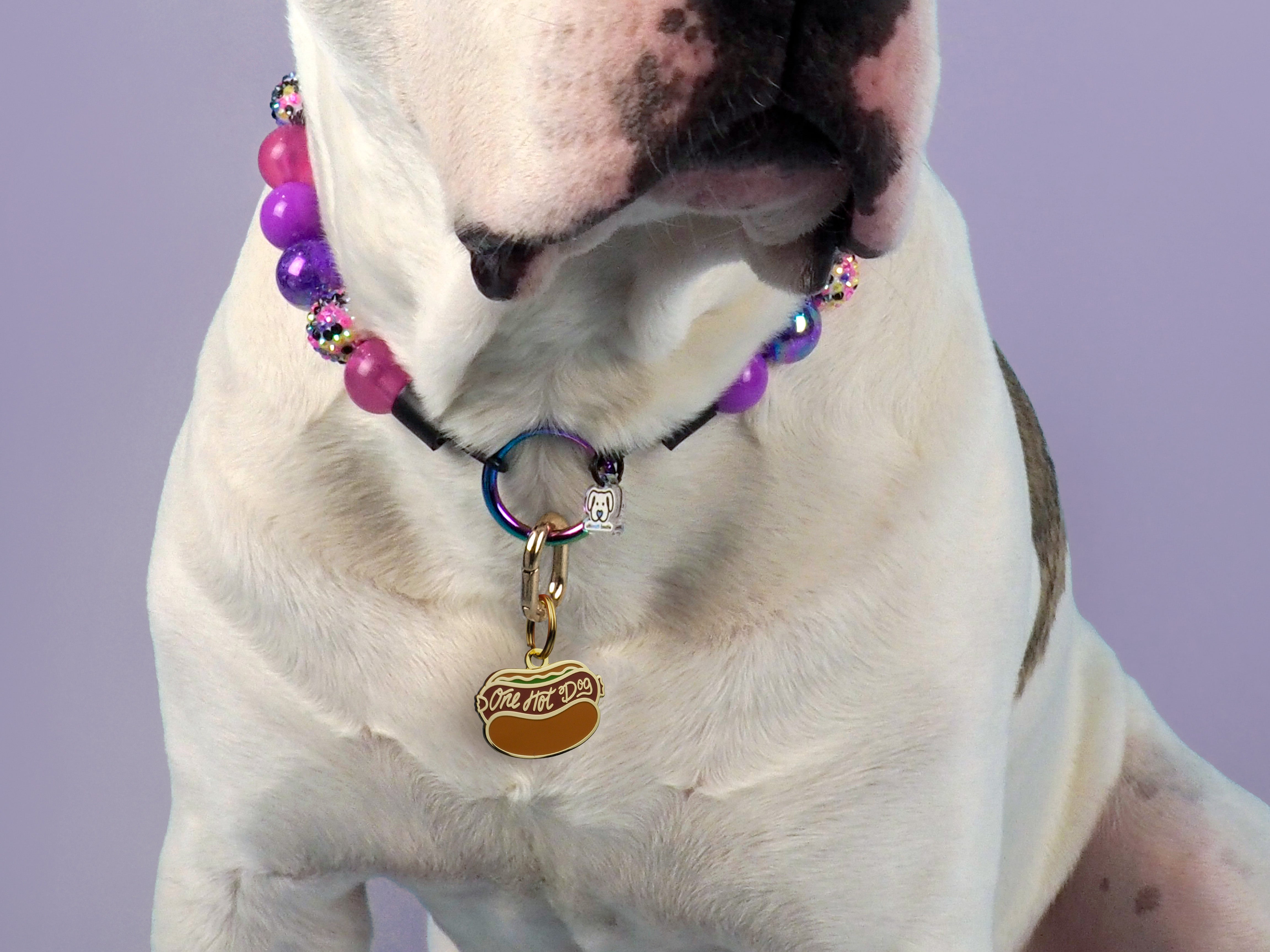 One Hot Dog Enamel Pet ID Tag