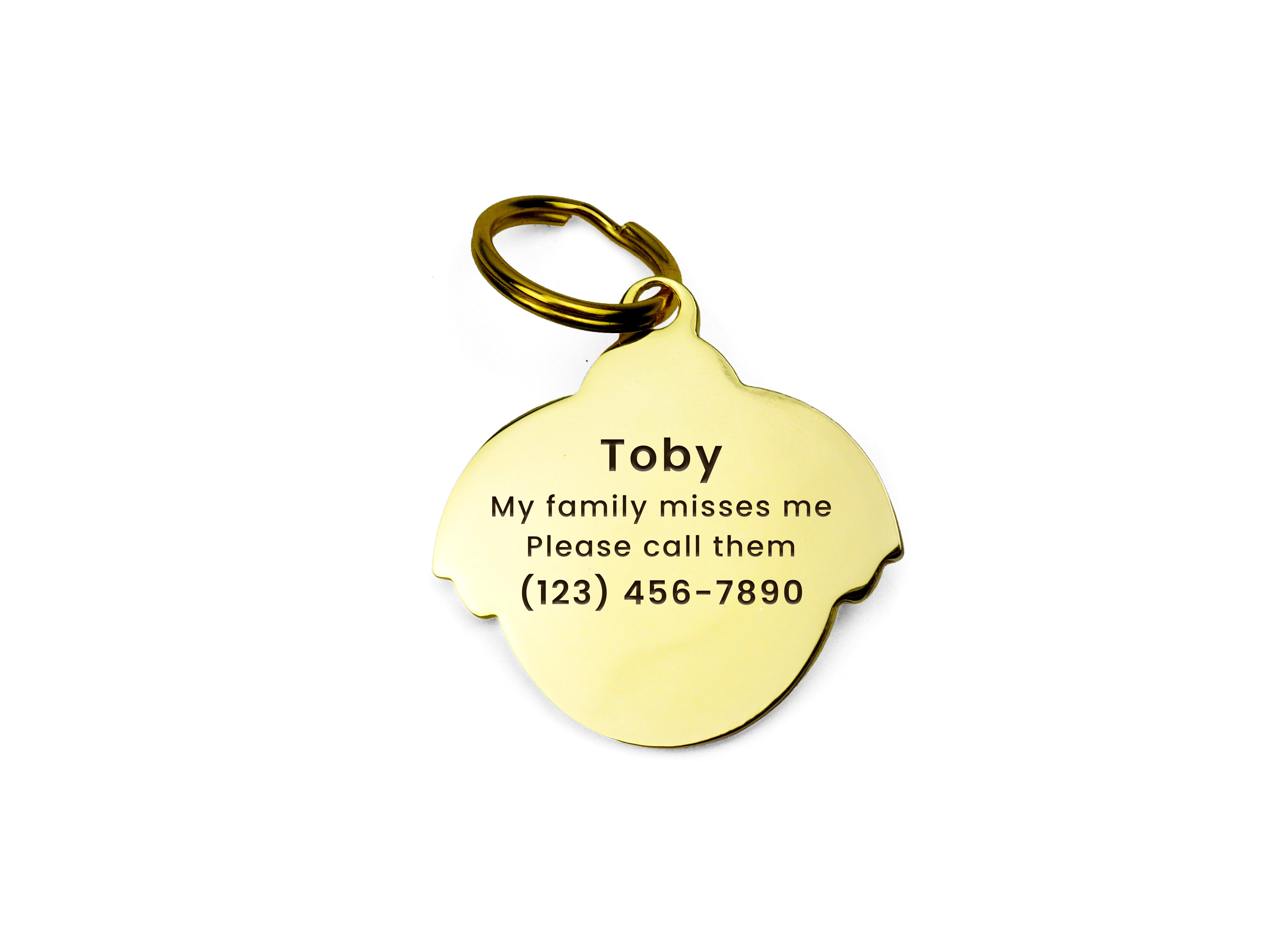 Snuggle Bug Enamel Pet ID Tag