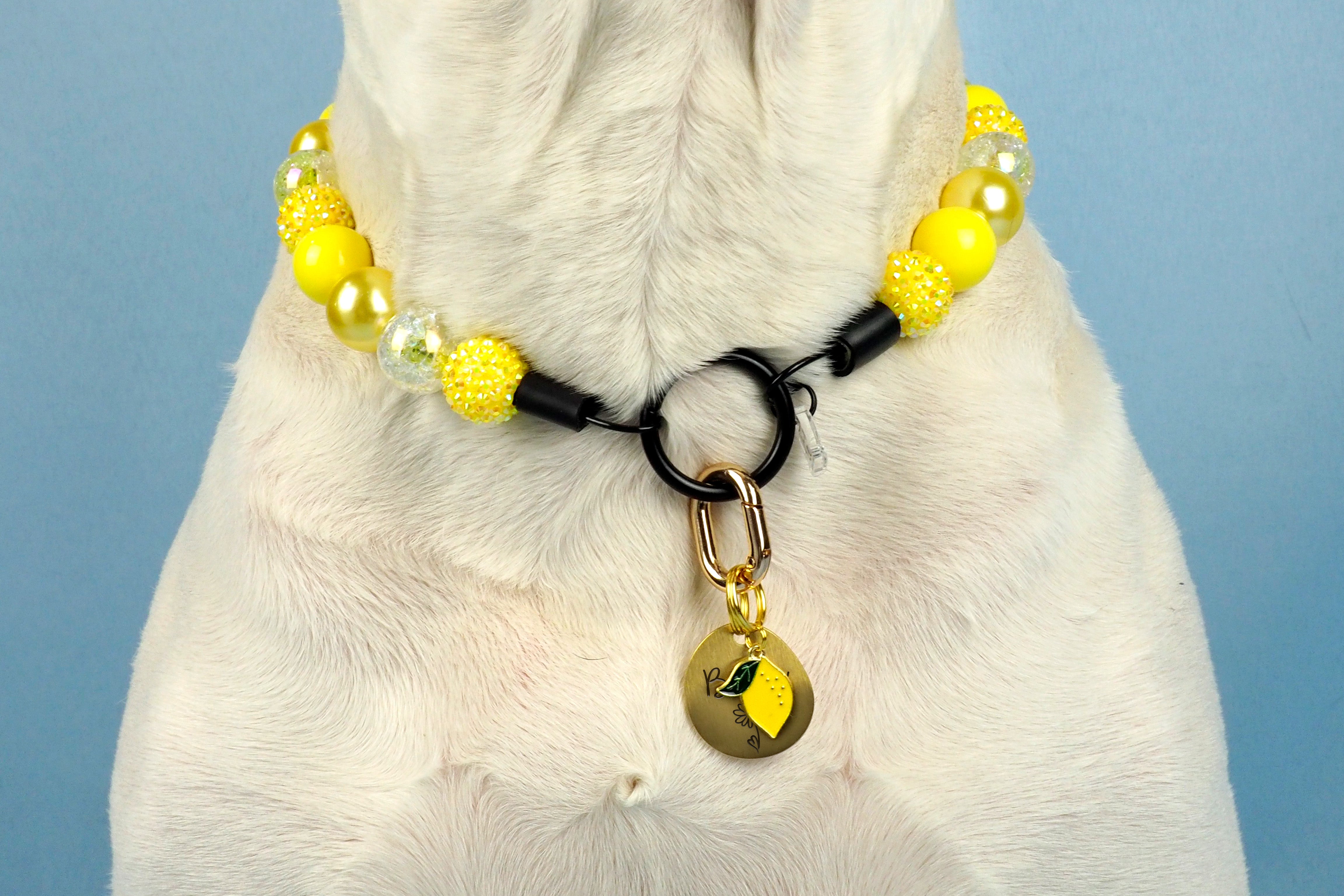 Lemon Collar Charm