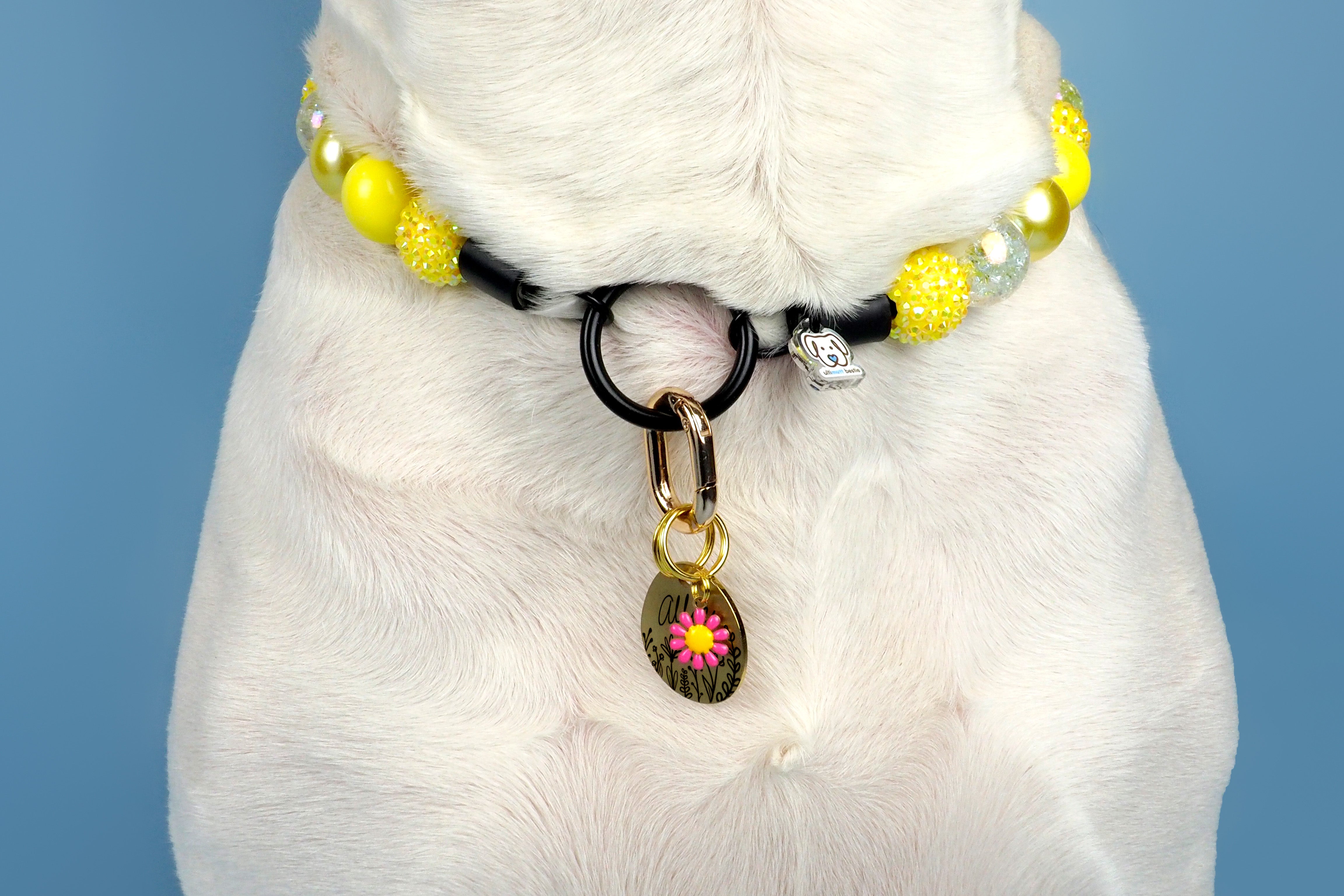 Lemon Drop Bead Dog Collar