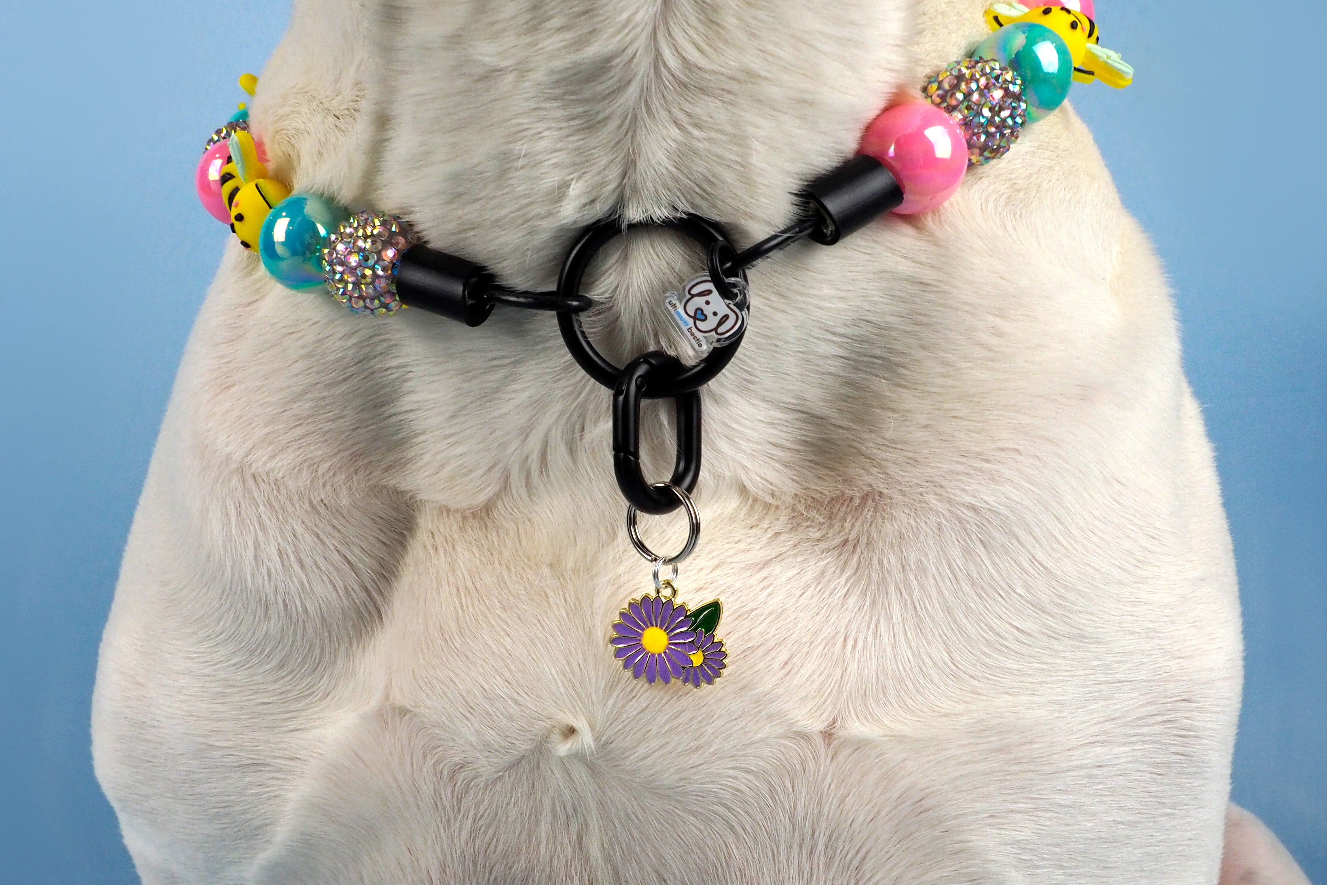 Wildflower Buzz Beaded Dog Collar