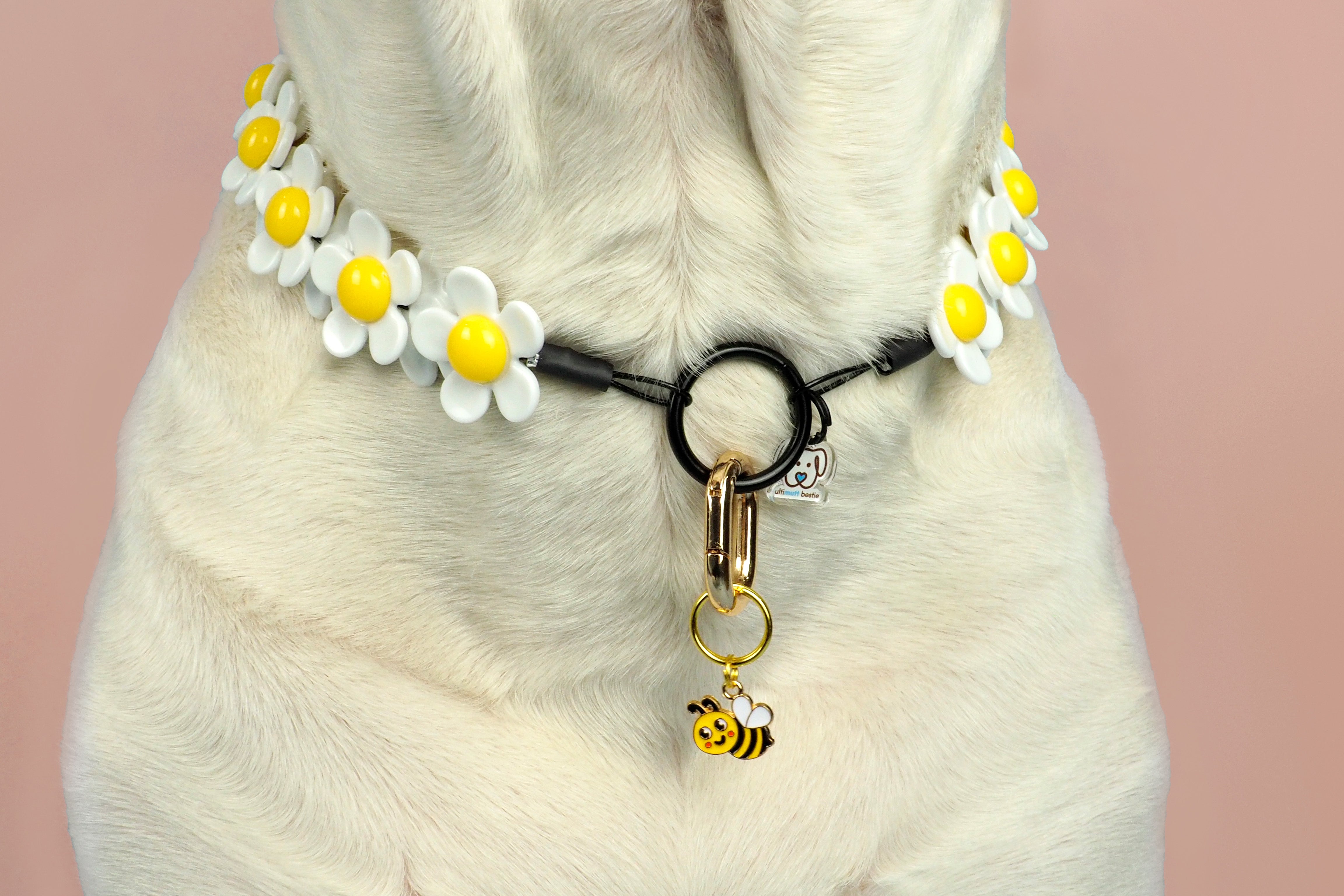 MEDIUM Crazy Daisy Dog Bead Collar