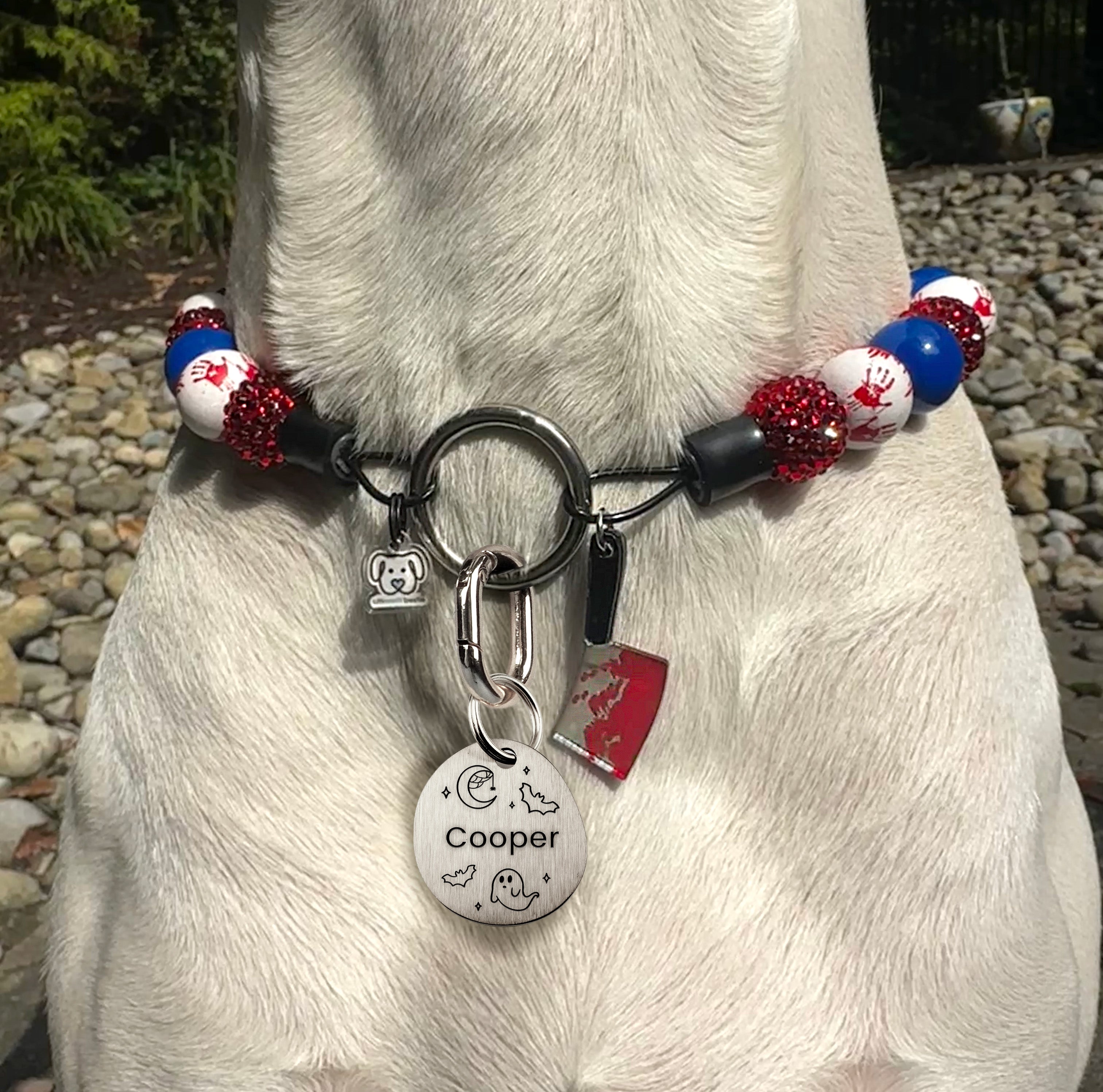 Spooky Silver Brushed Stainless Steel ID Tag