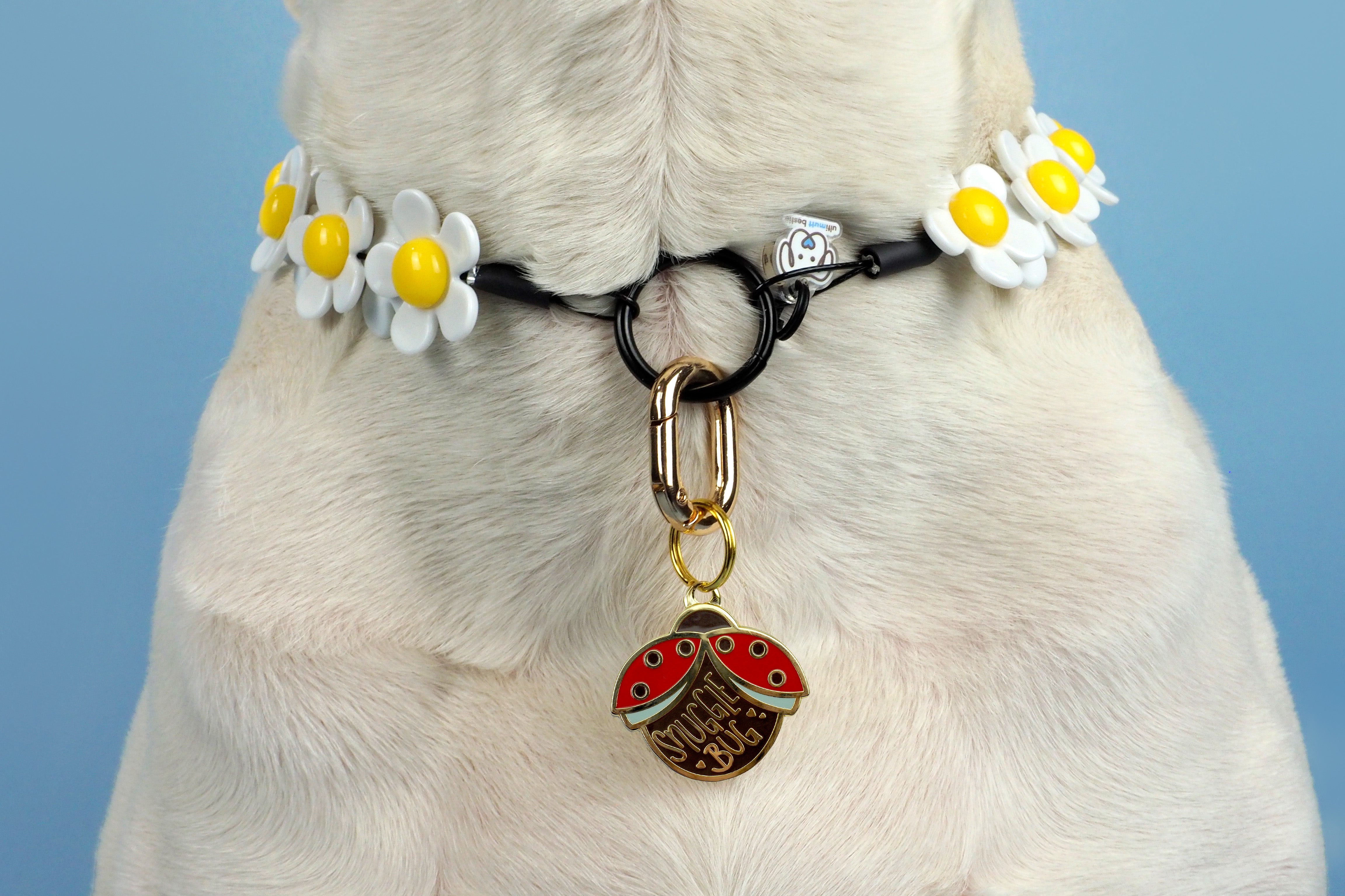 MEDIUM Crazy Daisy Dog Bead Collar