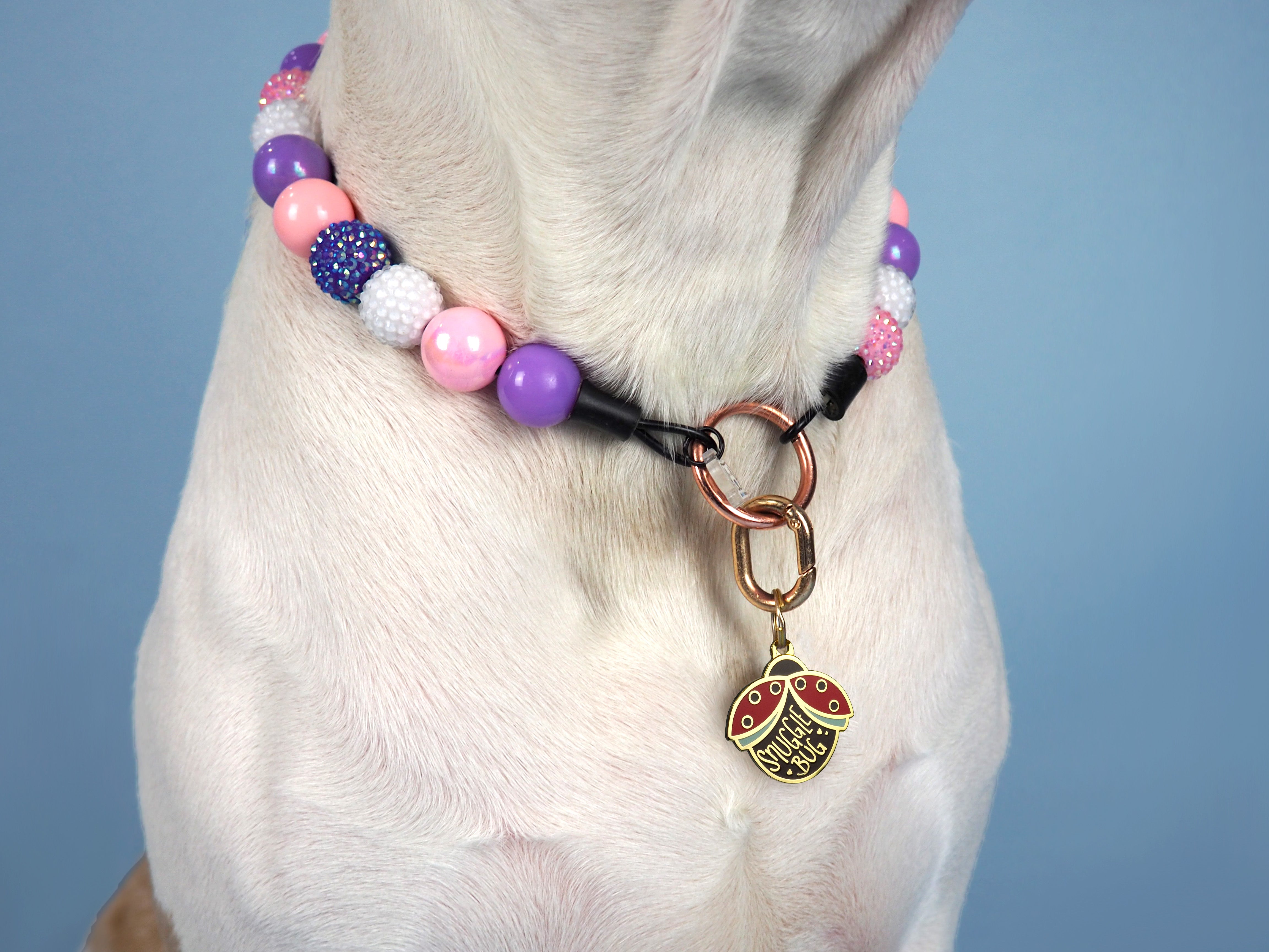 Snuggle Bug Enamel Pet ID Tag