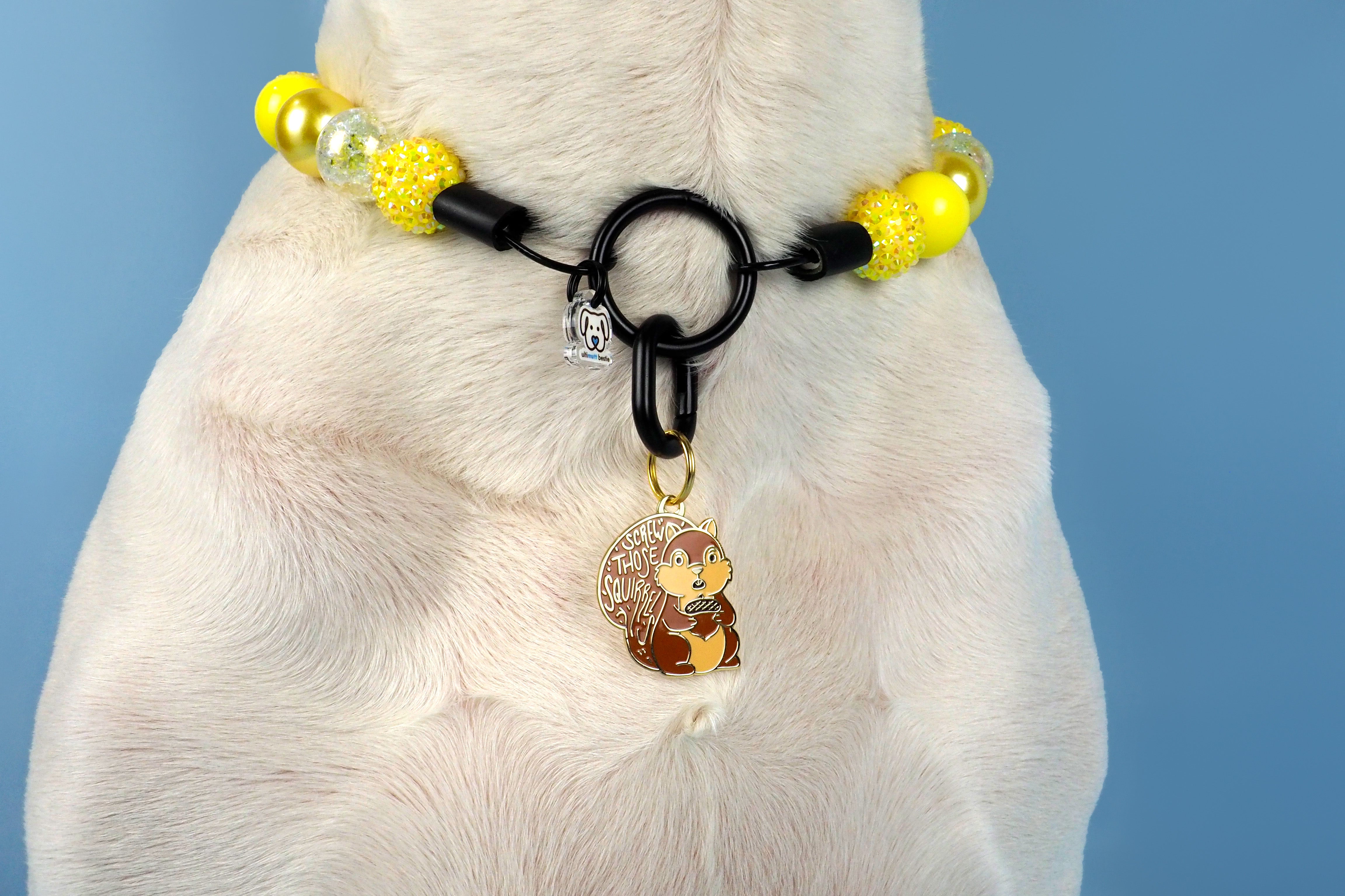 Screw Those Squirrels Enamel Pet ID Tag