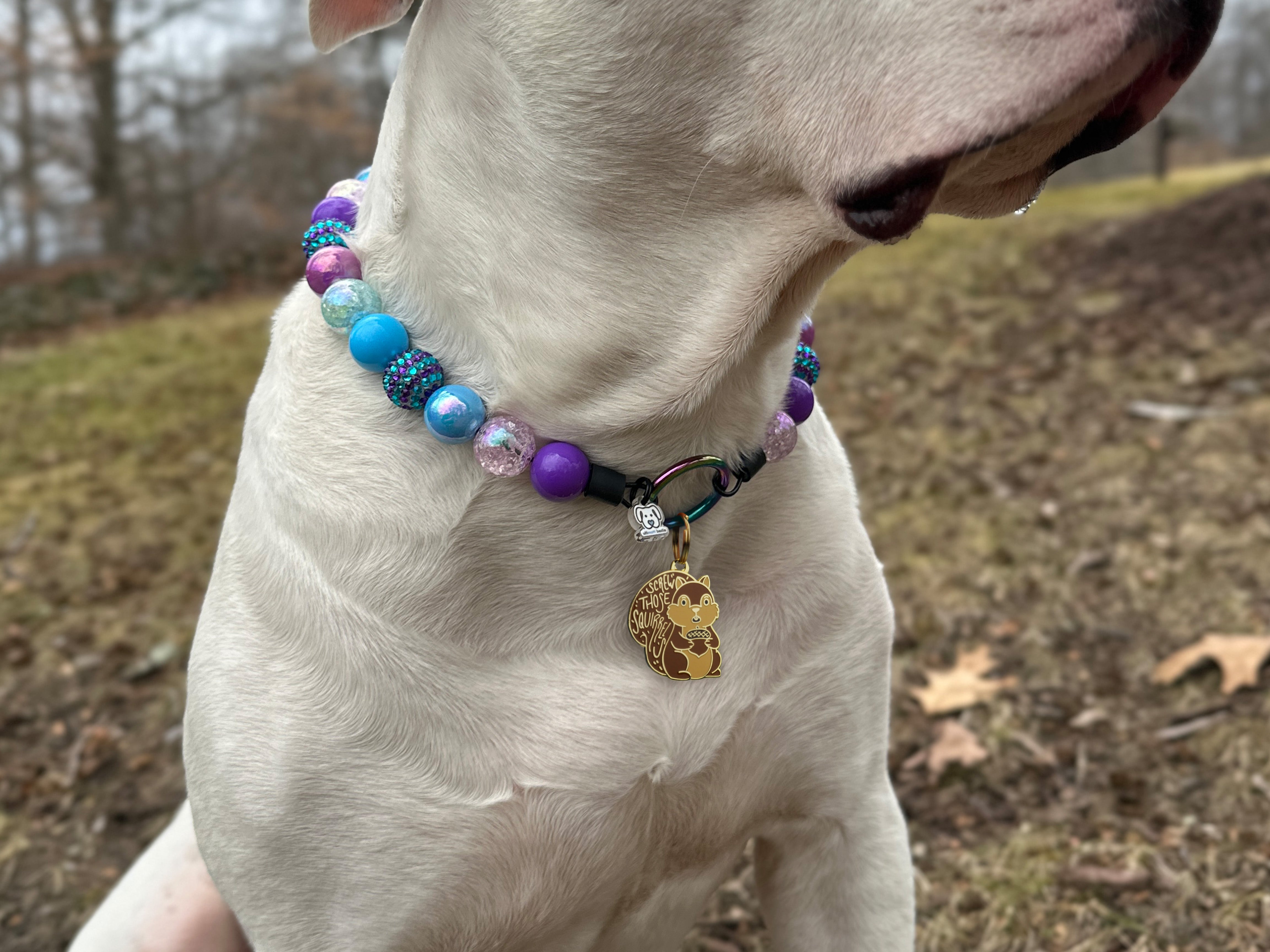 Screw Those Squirrels Enamel Pet ID Tag