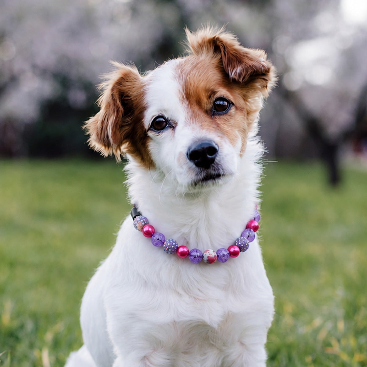 Mini Tropical Bloom Bead Dog Collar