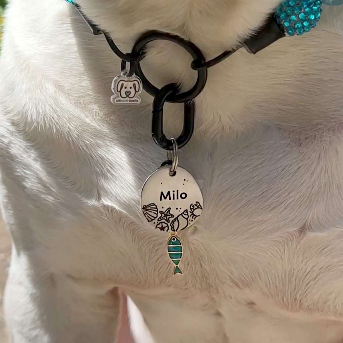 Silver Brushed Stainless Steel ID Tag